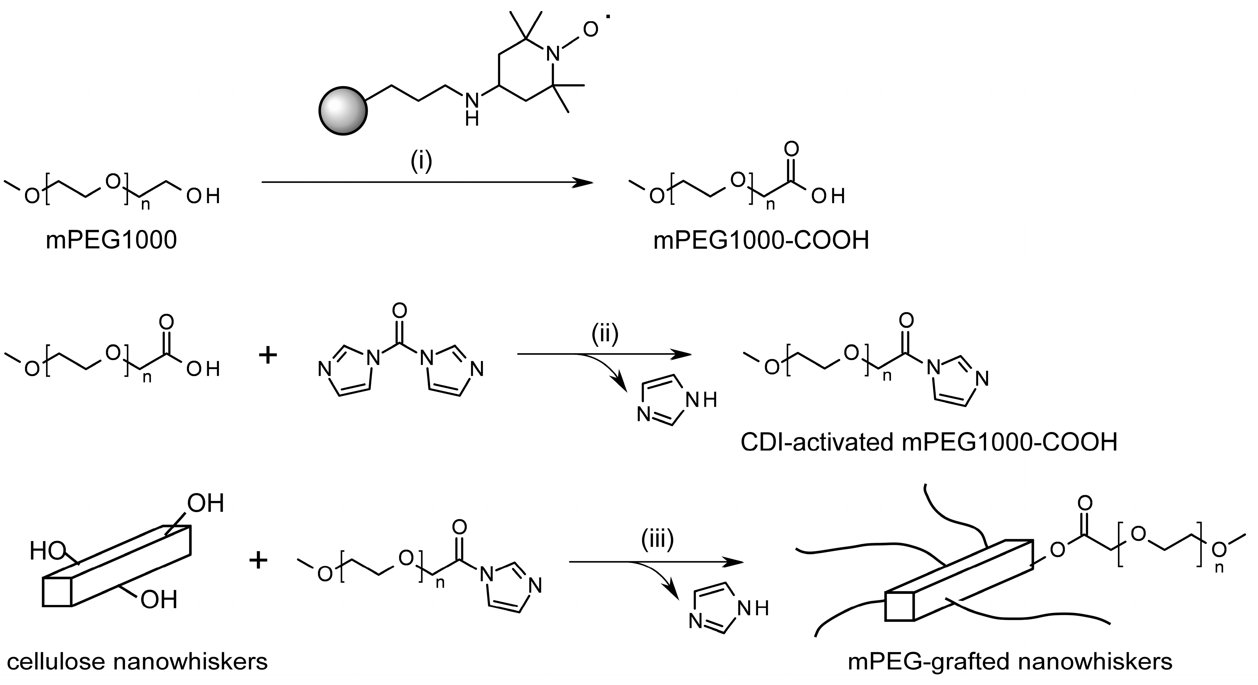 Molecules 20 00169 g005
