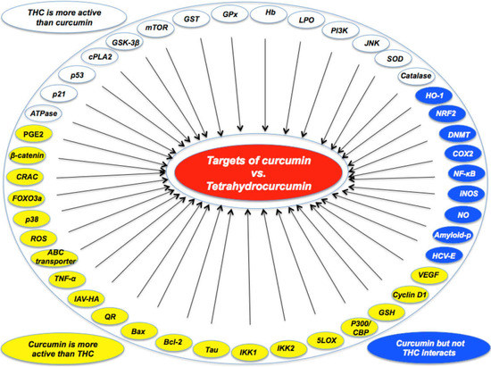 Molecular targets of curcumin vs tetrahydrocurcumin. Molecular targets of curcumin vs tetrahydrocurcumin.