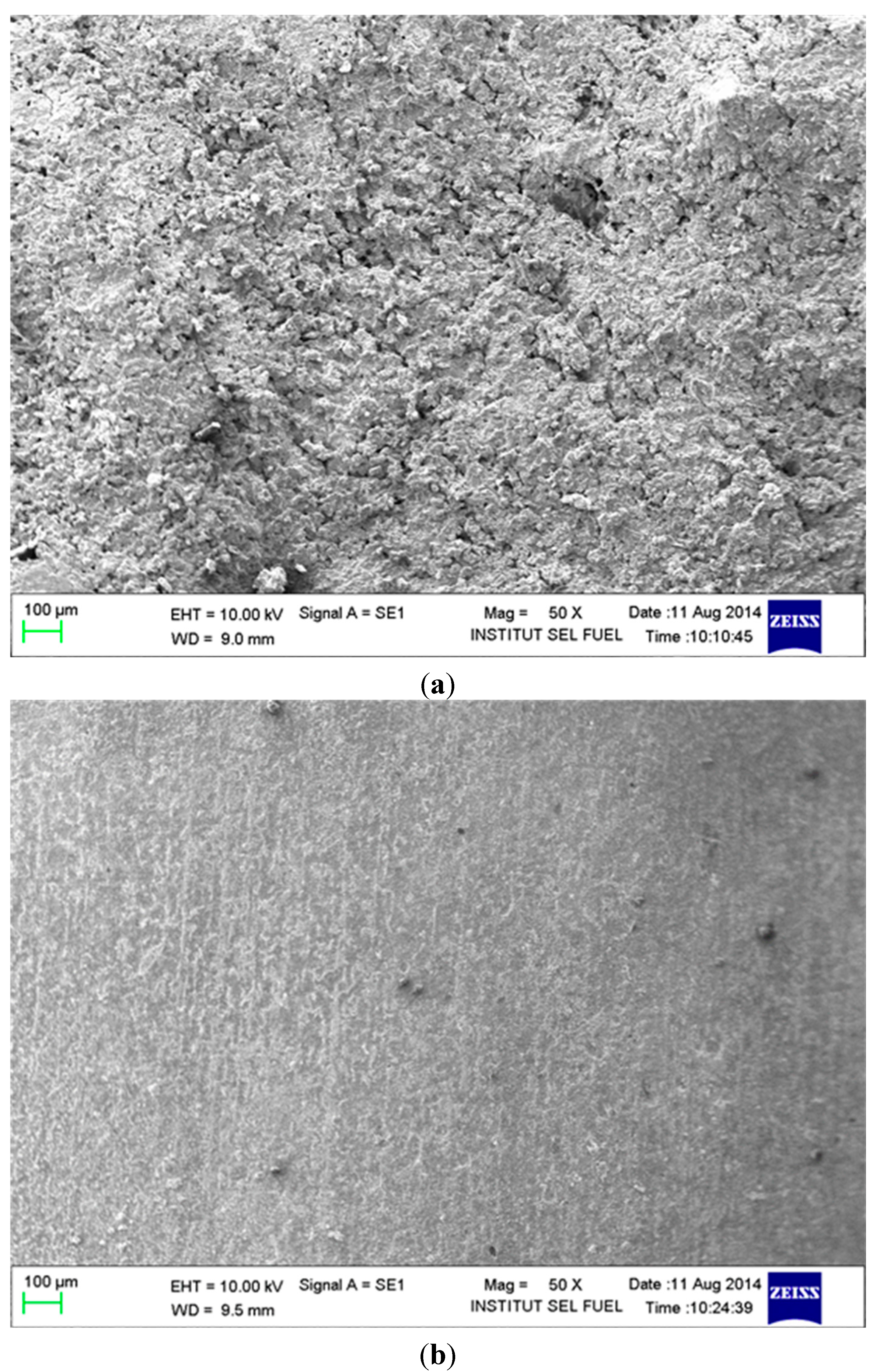 Molecules 20 00366 g004