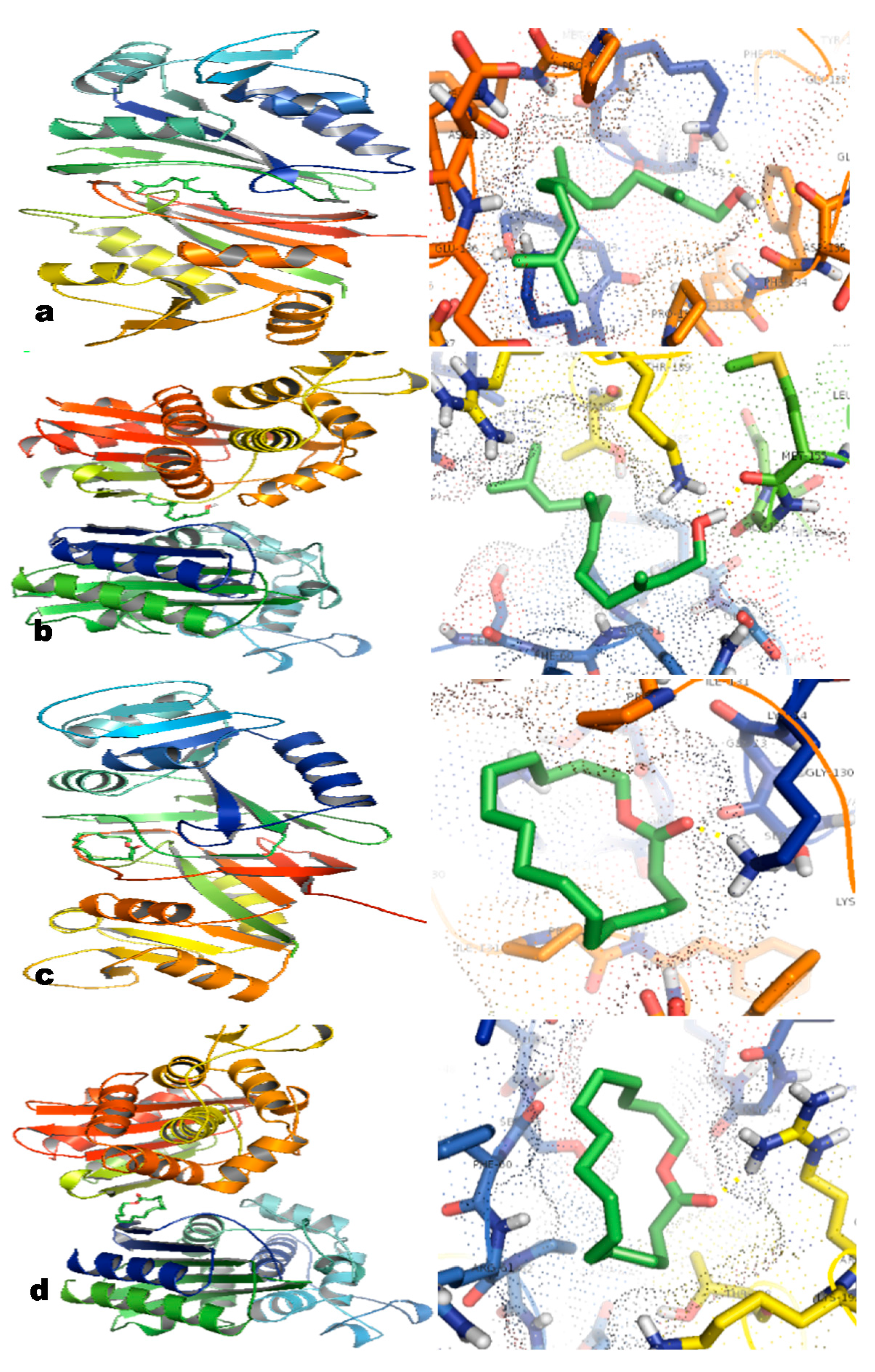 Molecules 20 00384 g002
