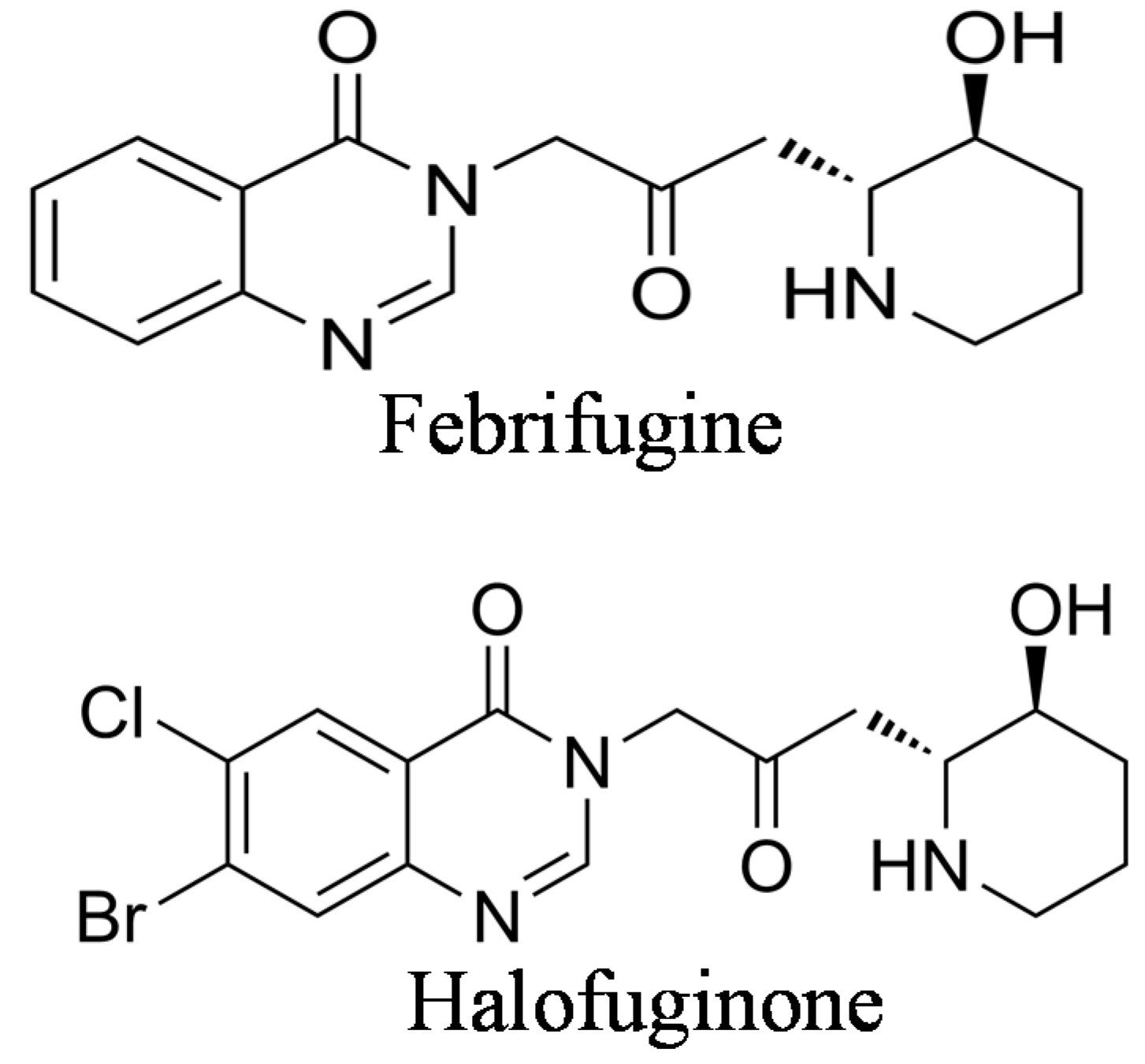 Molecules 20 00573 g001