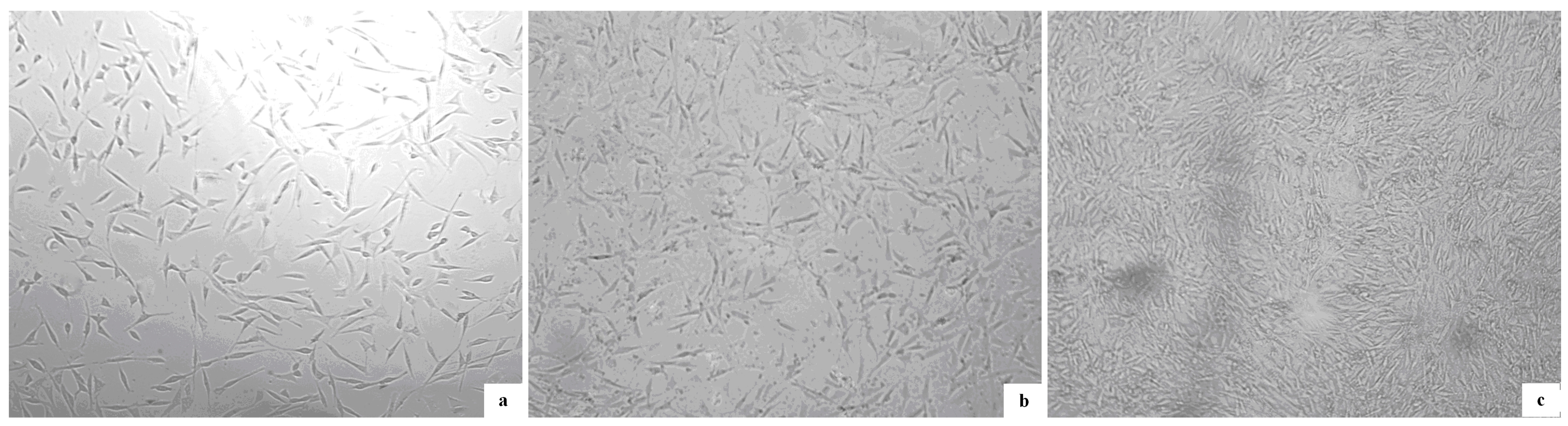 Molecules 20 00595 g007