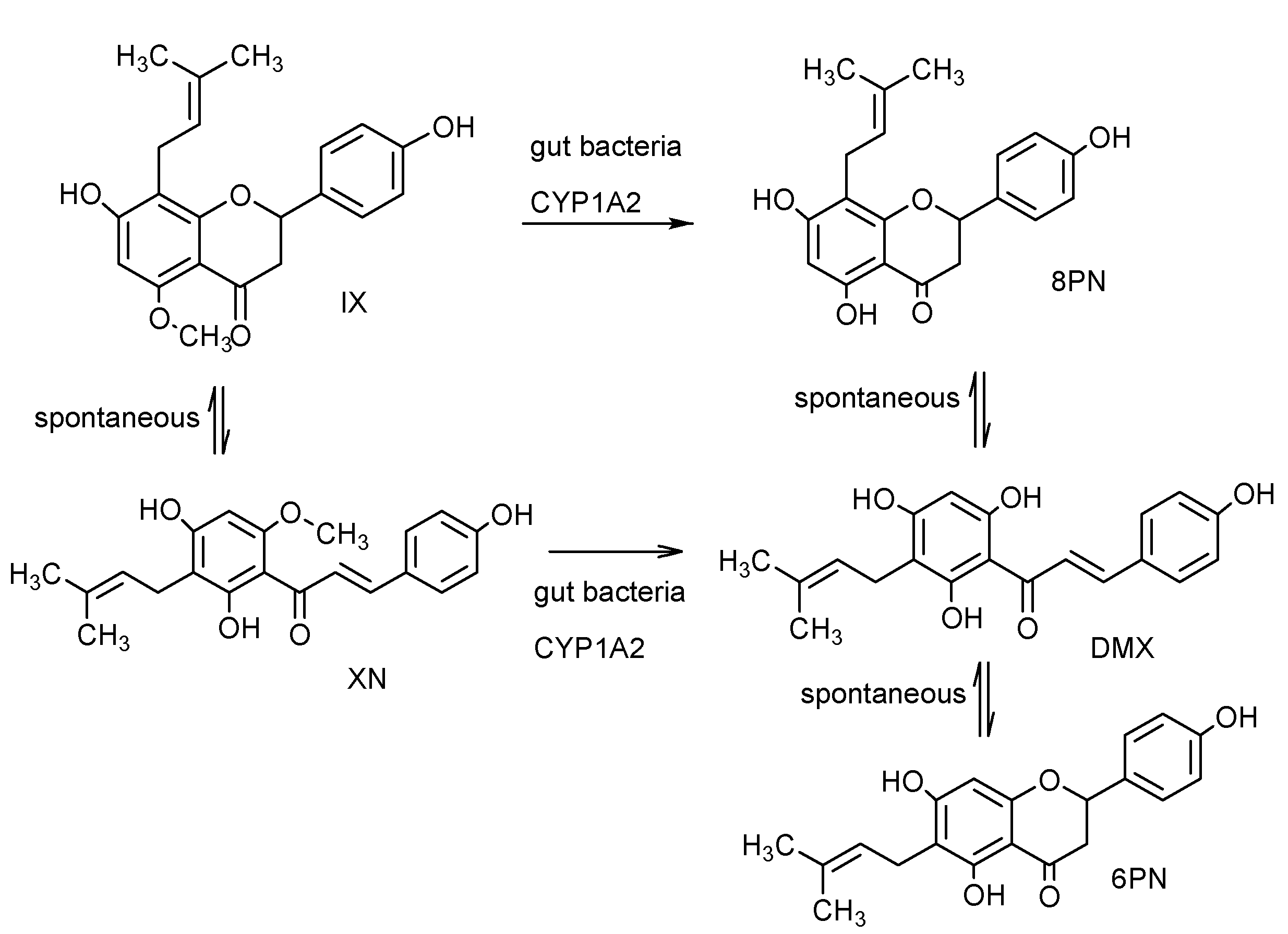 Molecules 20 00754 g002