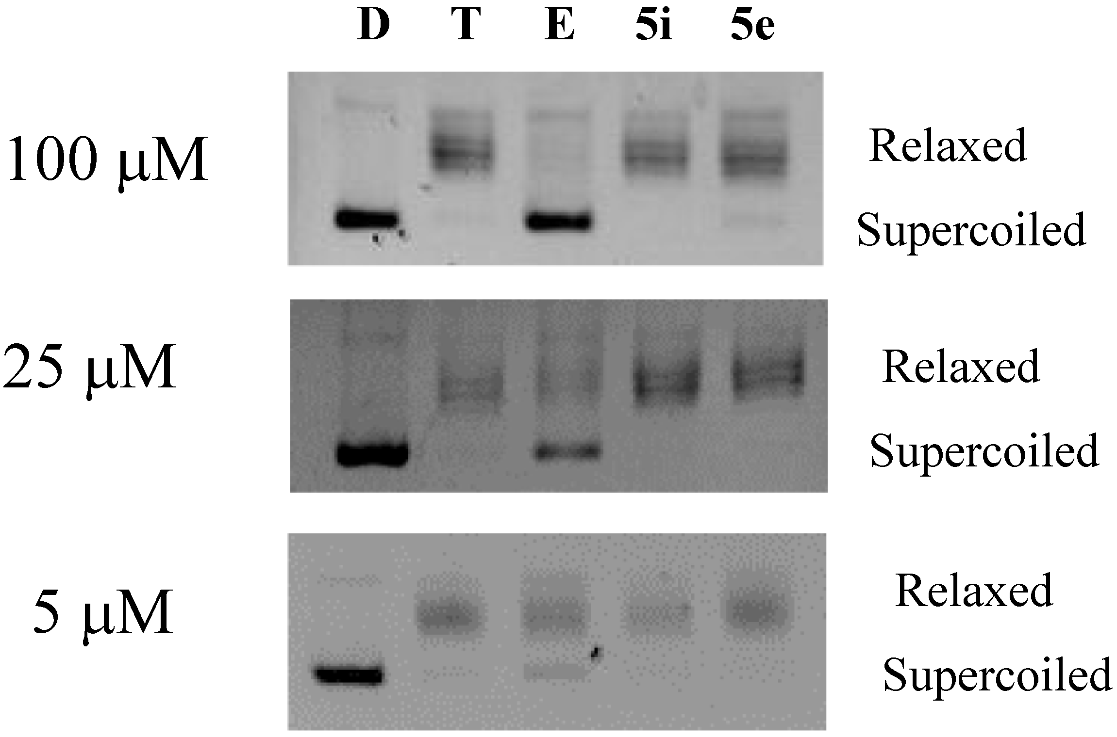 Molecules 20 01031 g003