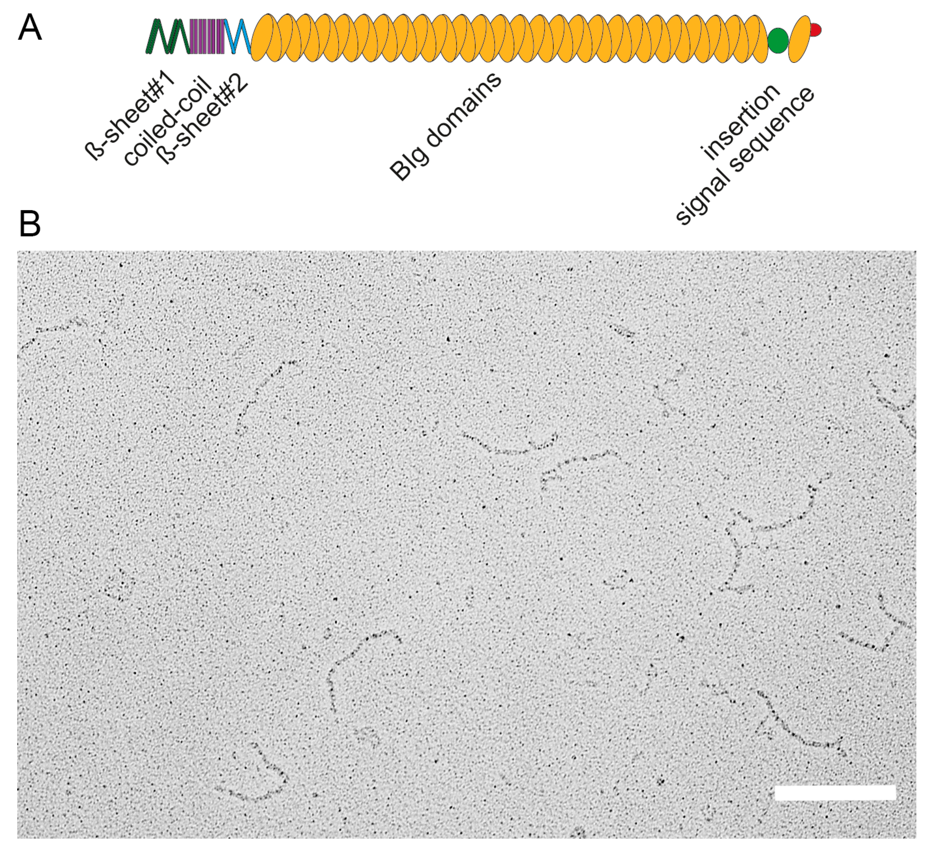 Molecules 20 01134 g002