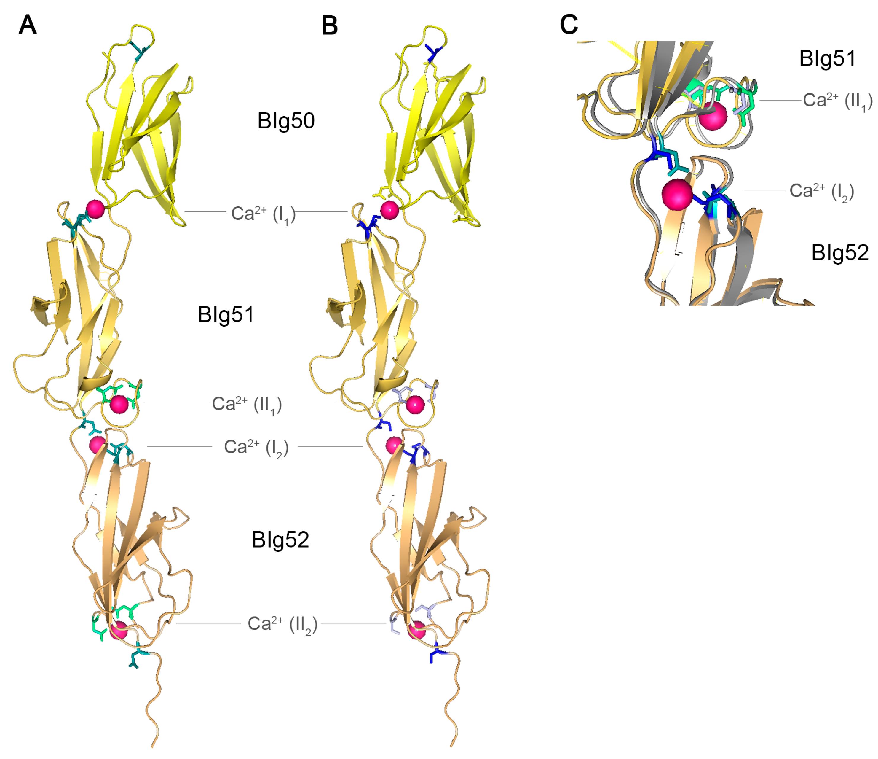 Molecules 20 01134 g004