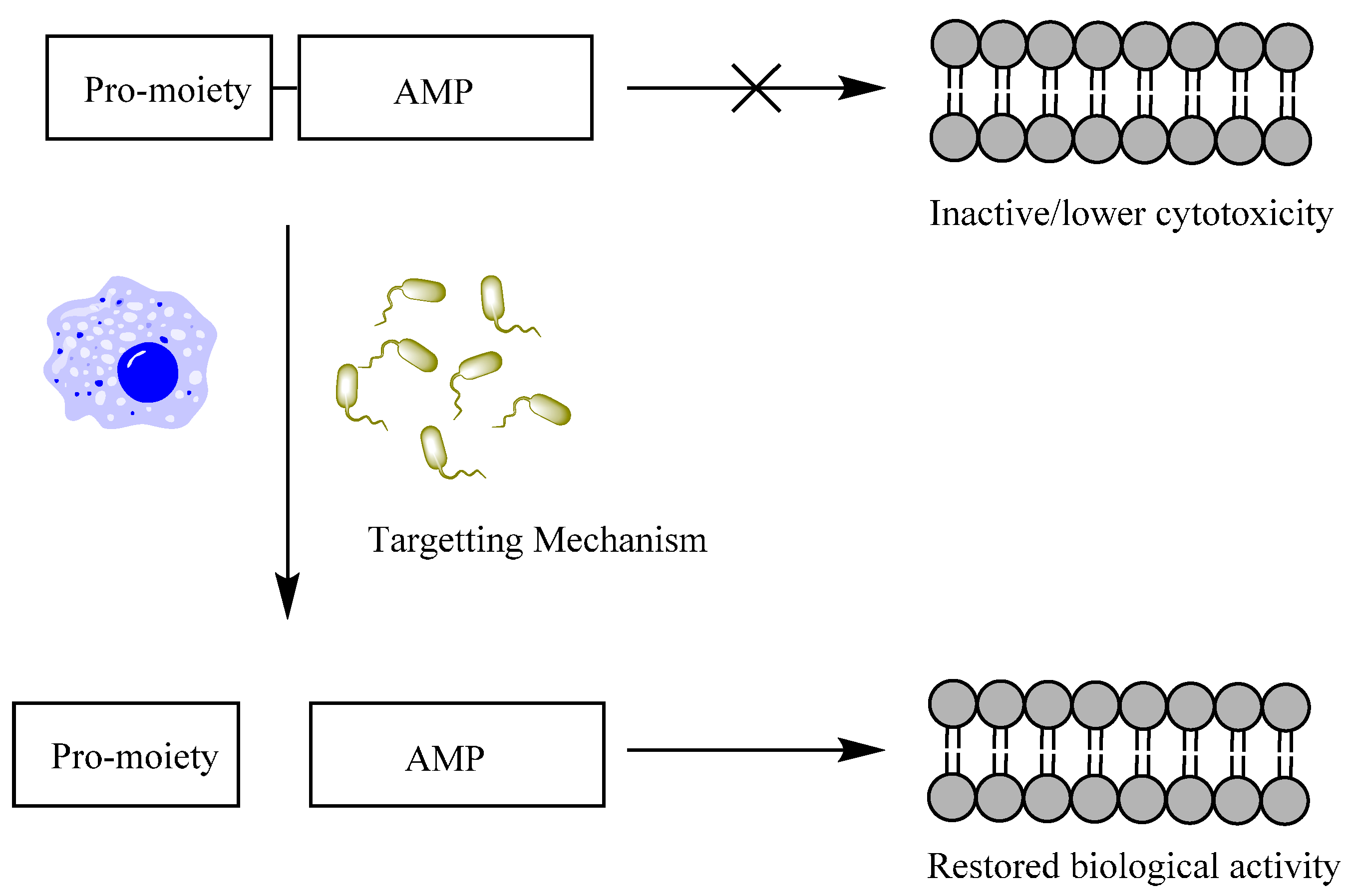 Molecules 20 01210 g001 550