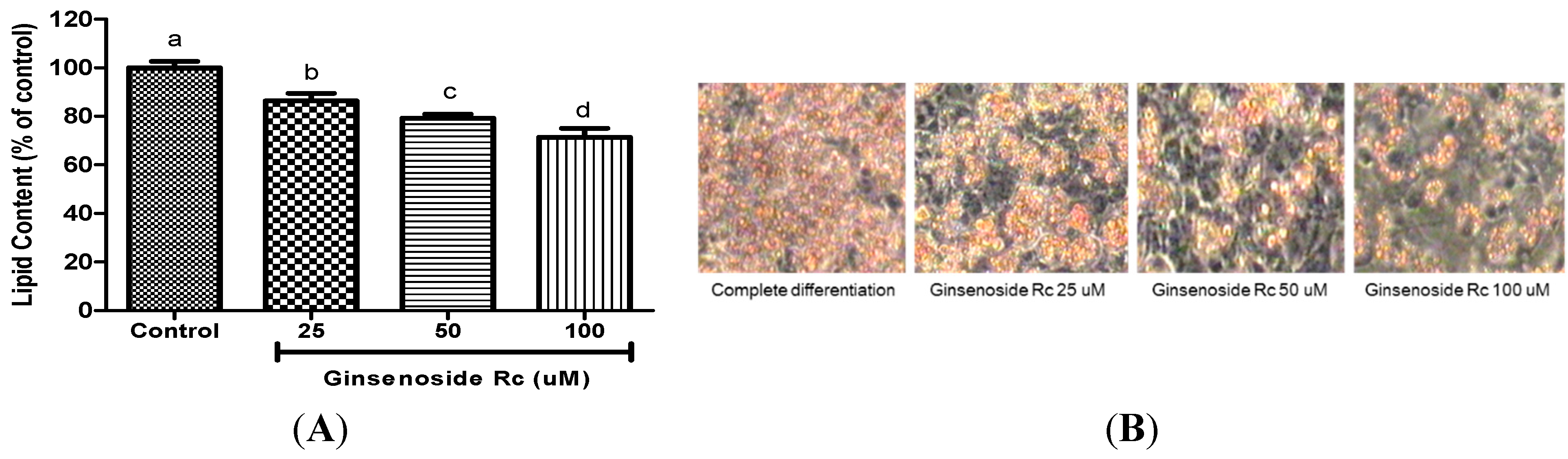 Molecules 20 01293 g001