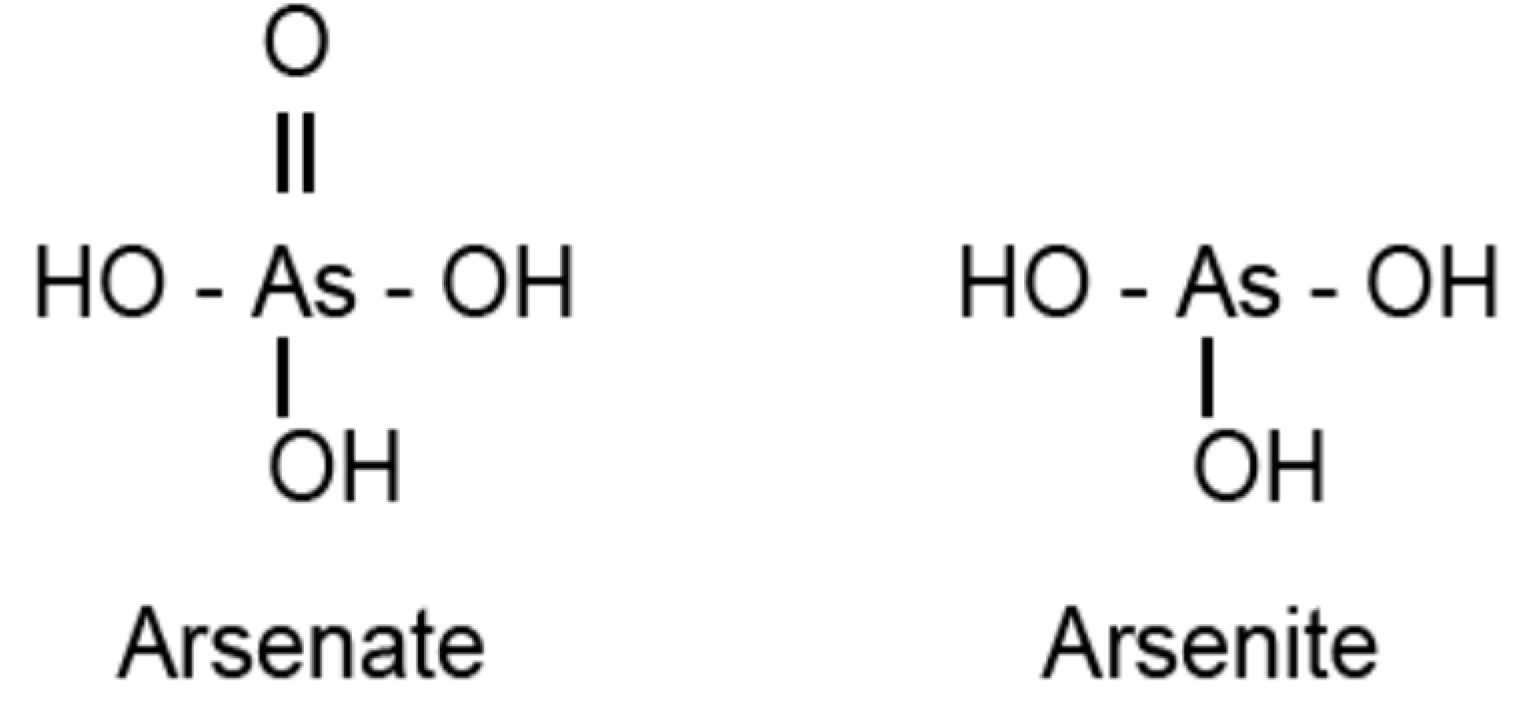 Molecules 20 01410 g002