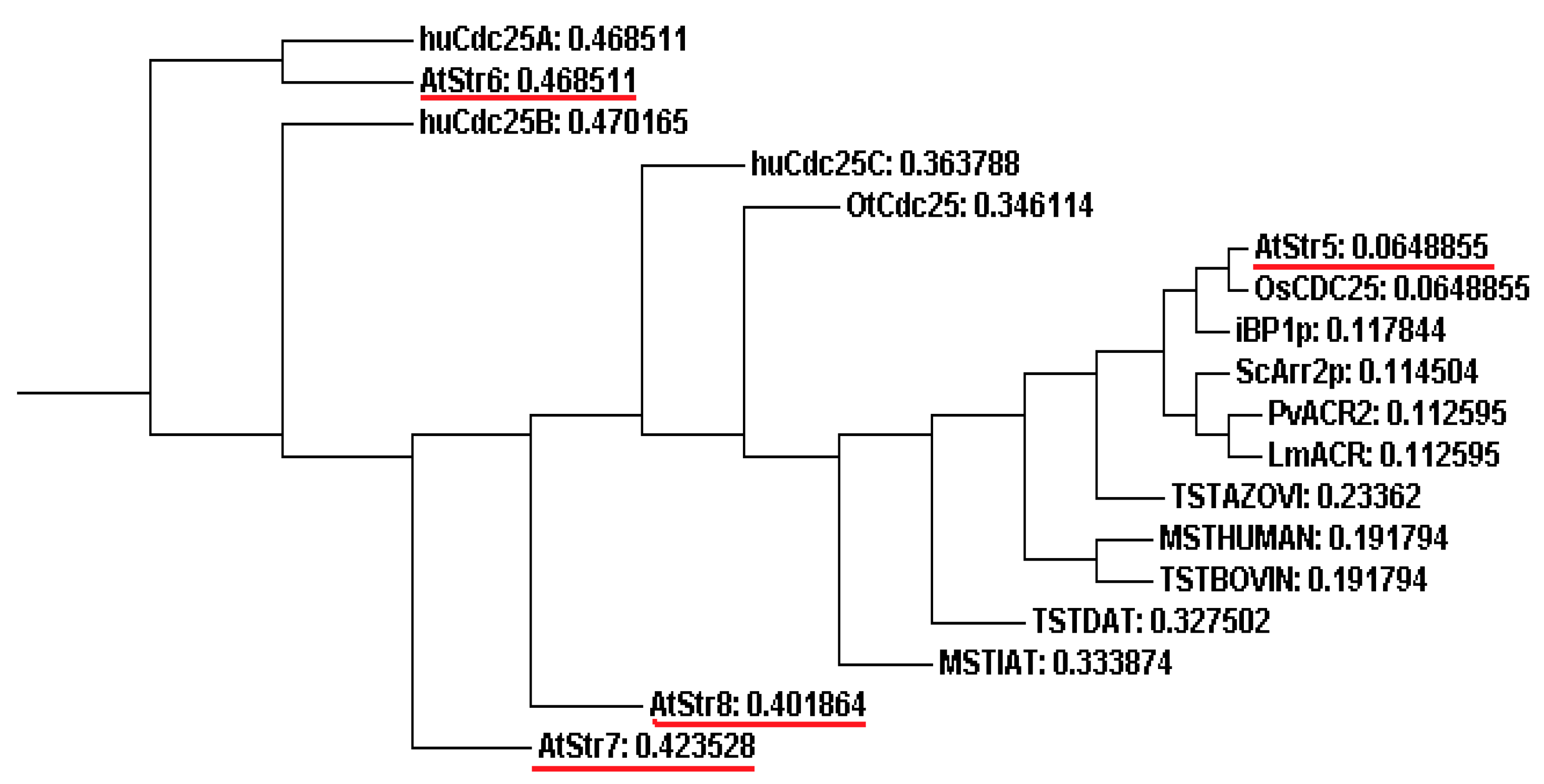 Molecules 20 01410 g004