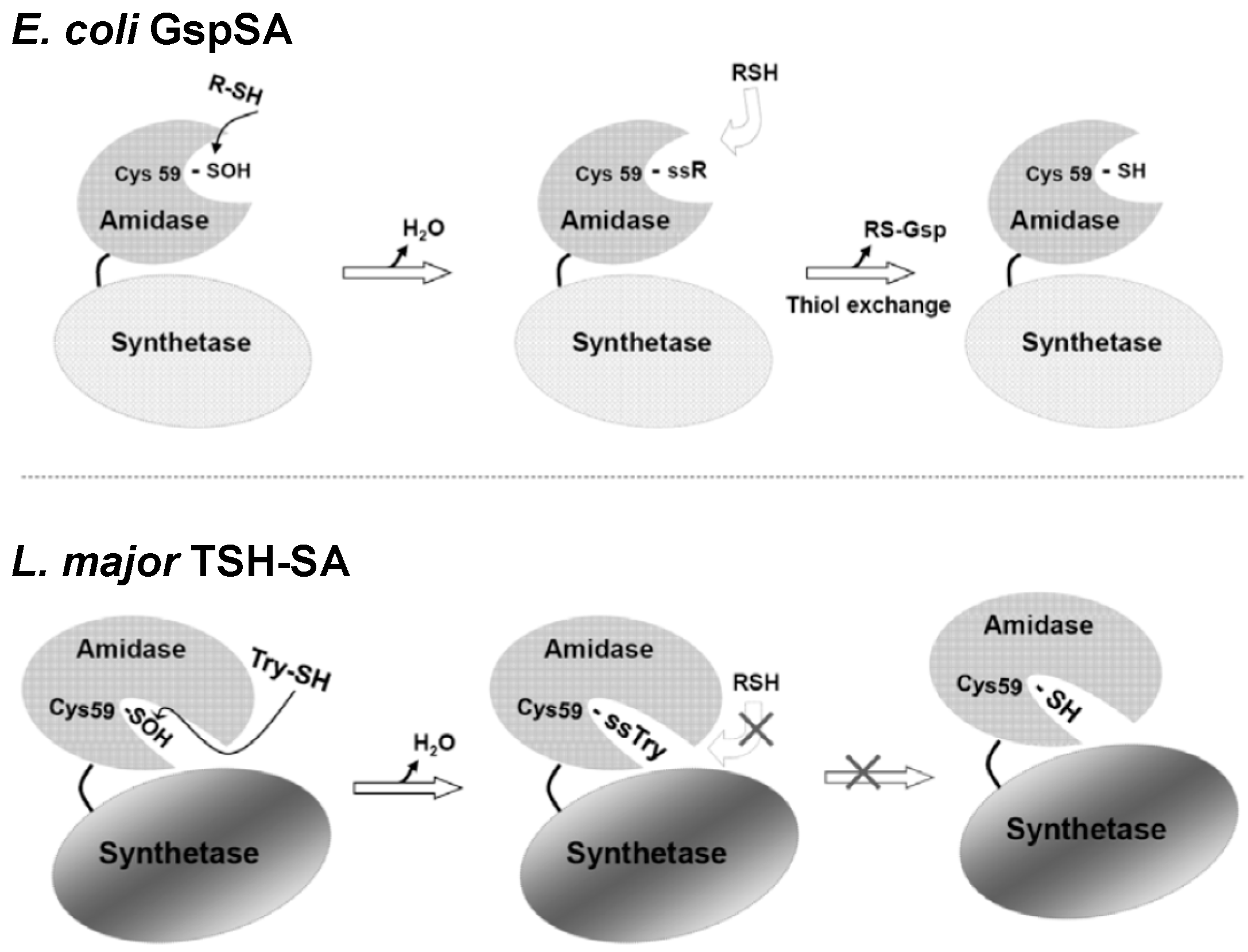 Molecules 20 01452 g004