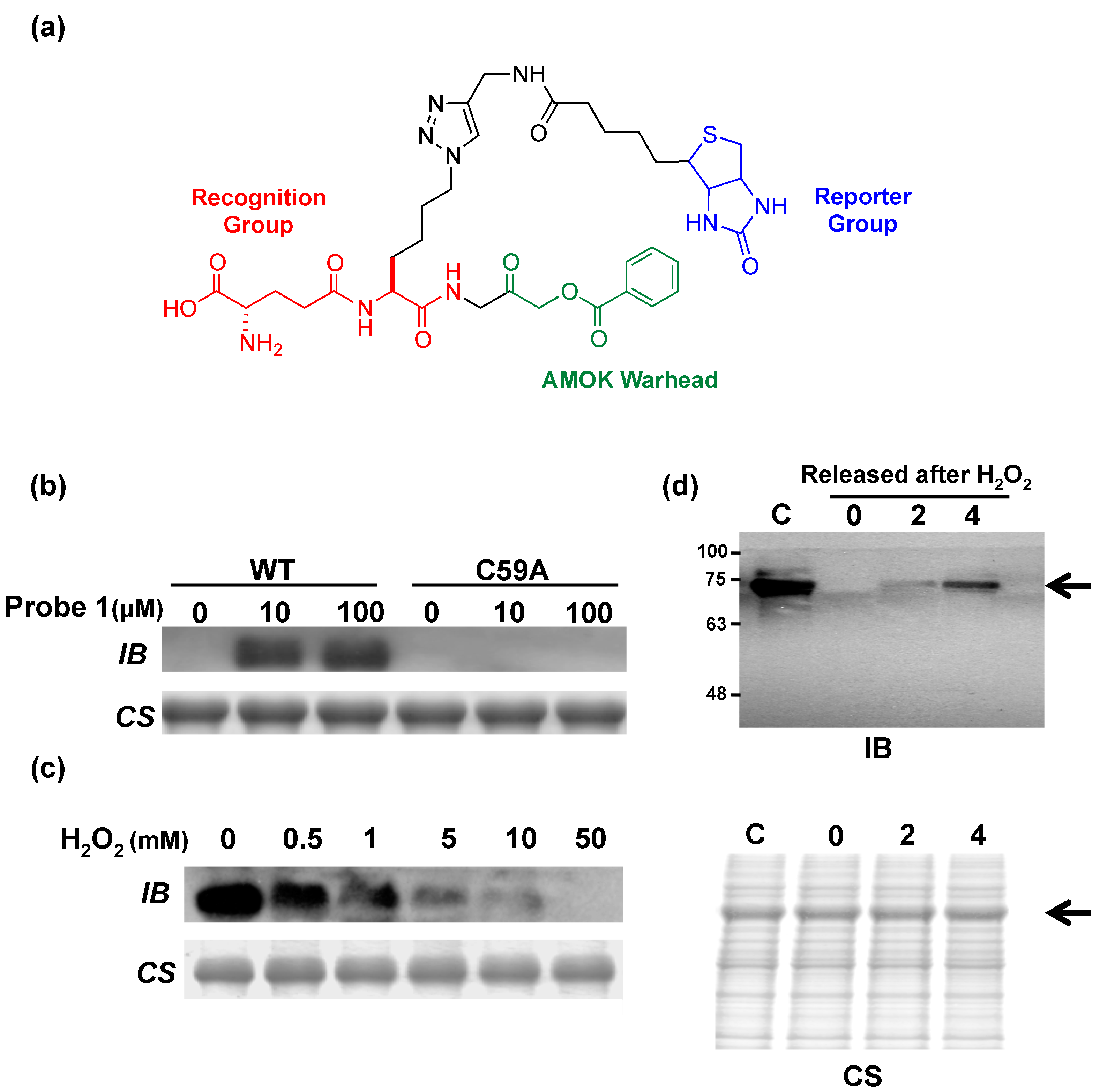 Molecules 20 01452 g005