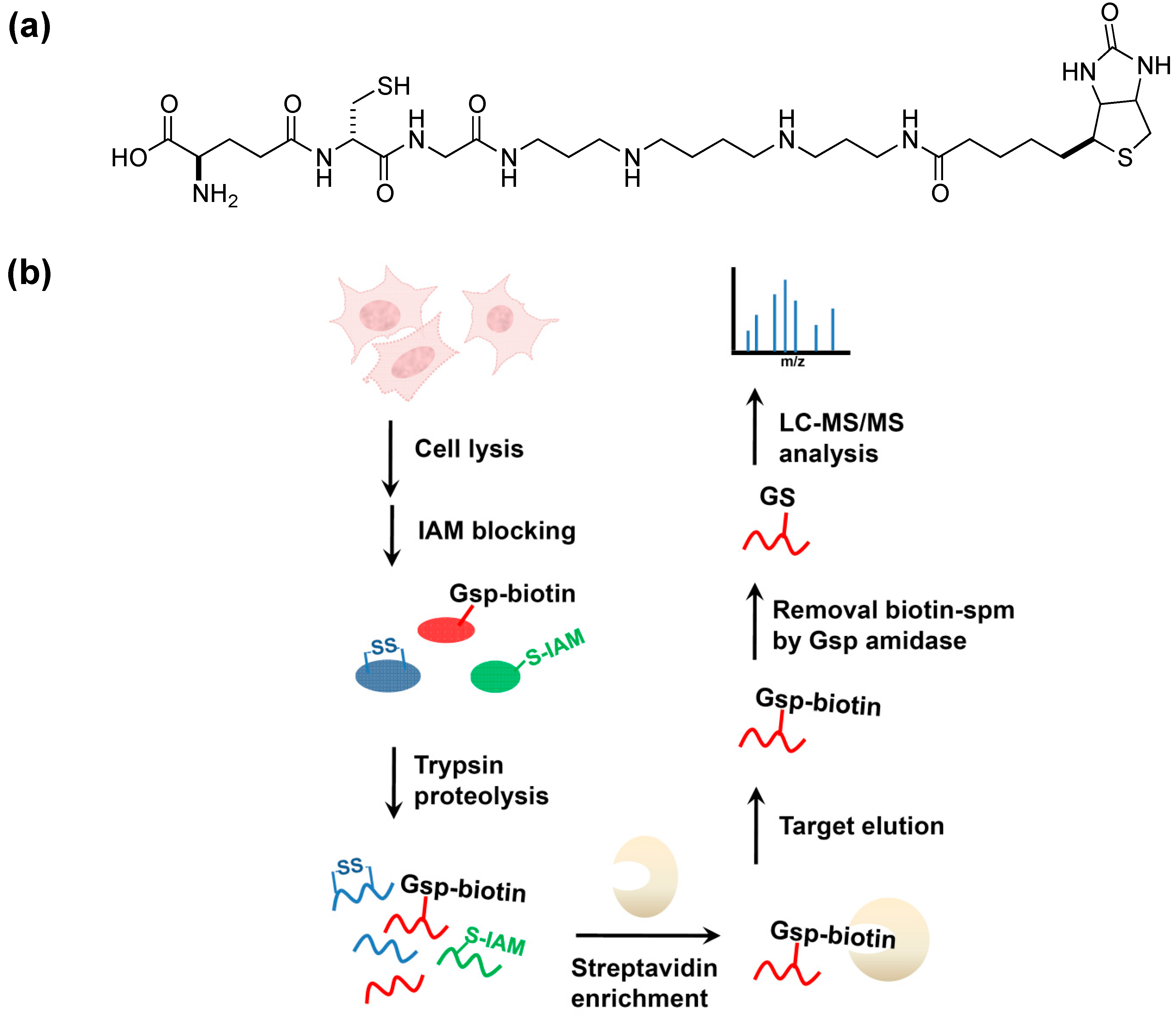 Molecules 20 01452 g006a