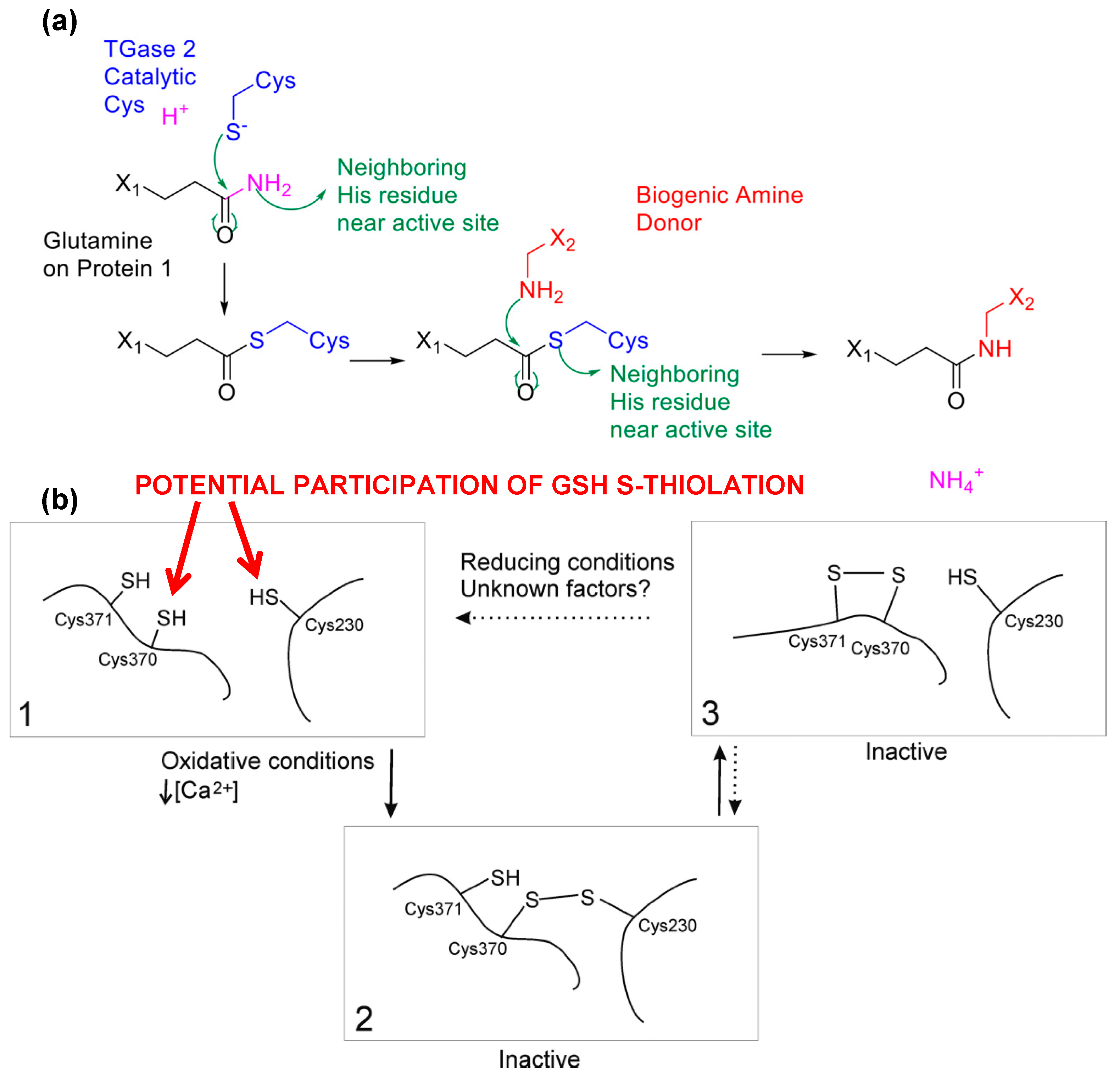 Molecules 20 01452 g007