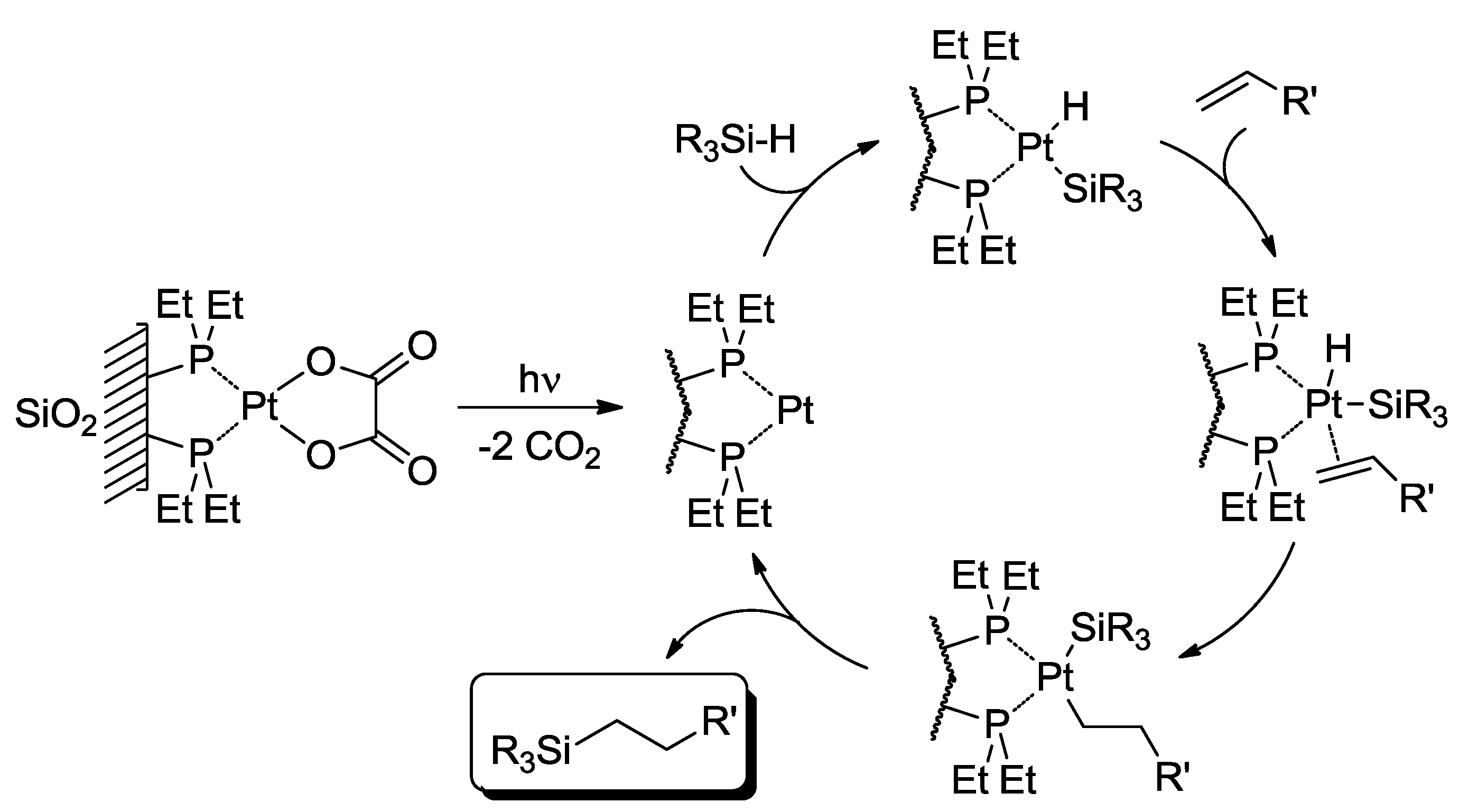 Molecules 20 01527 g004