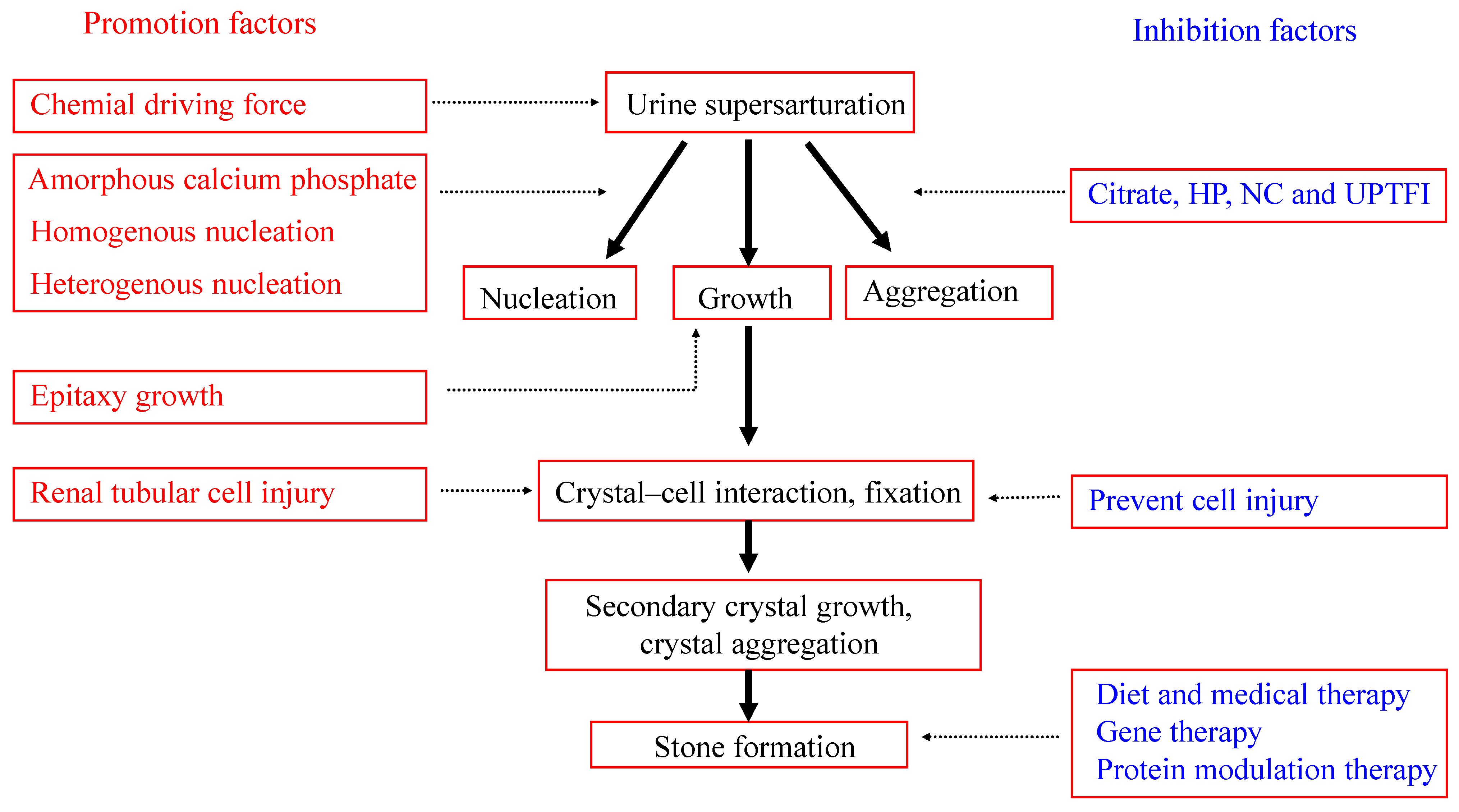 Molecules 20 01626 g008