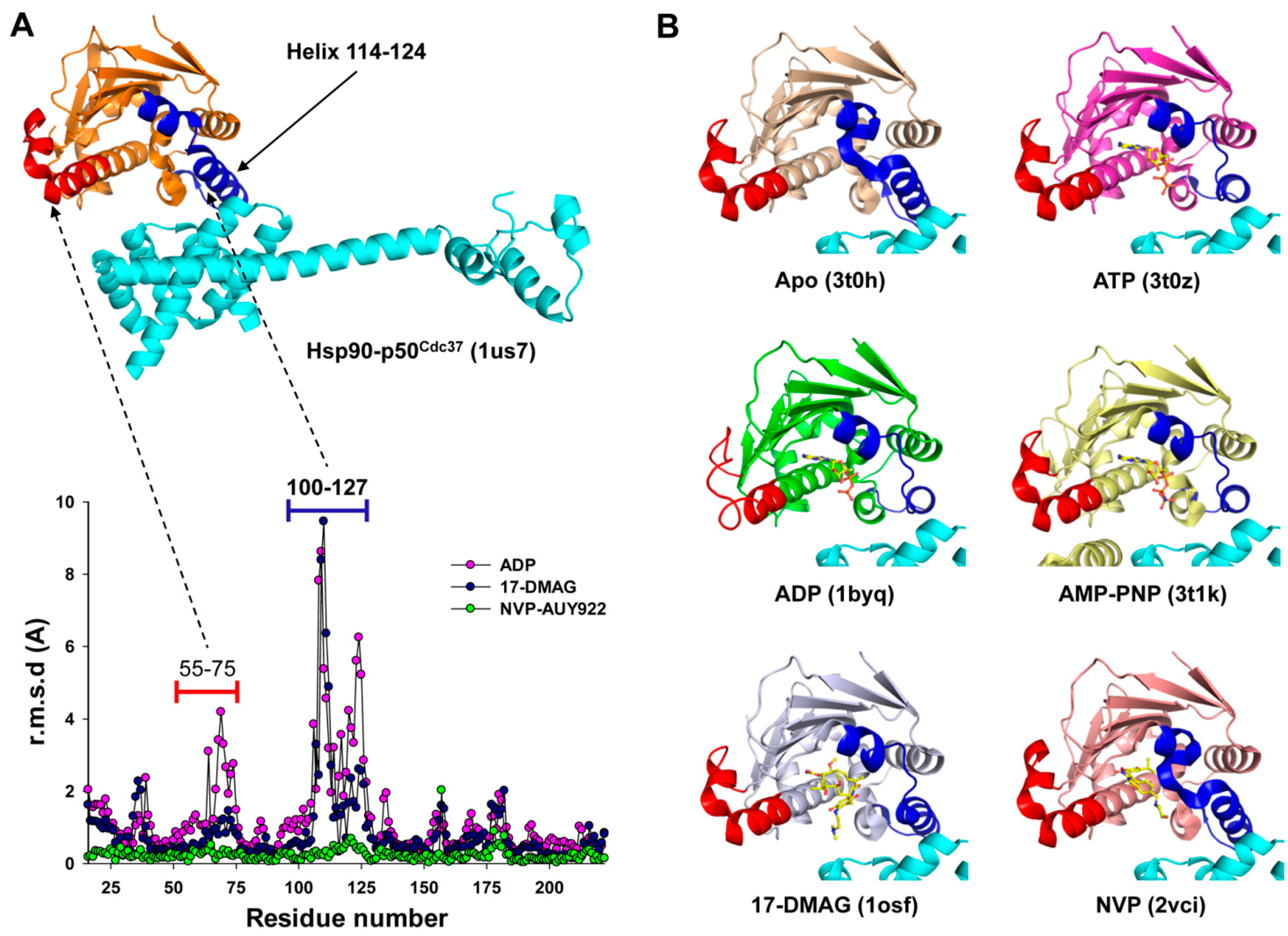Molecules 20 01643 g006