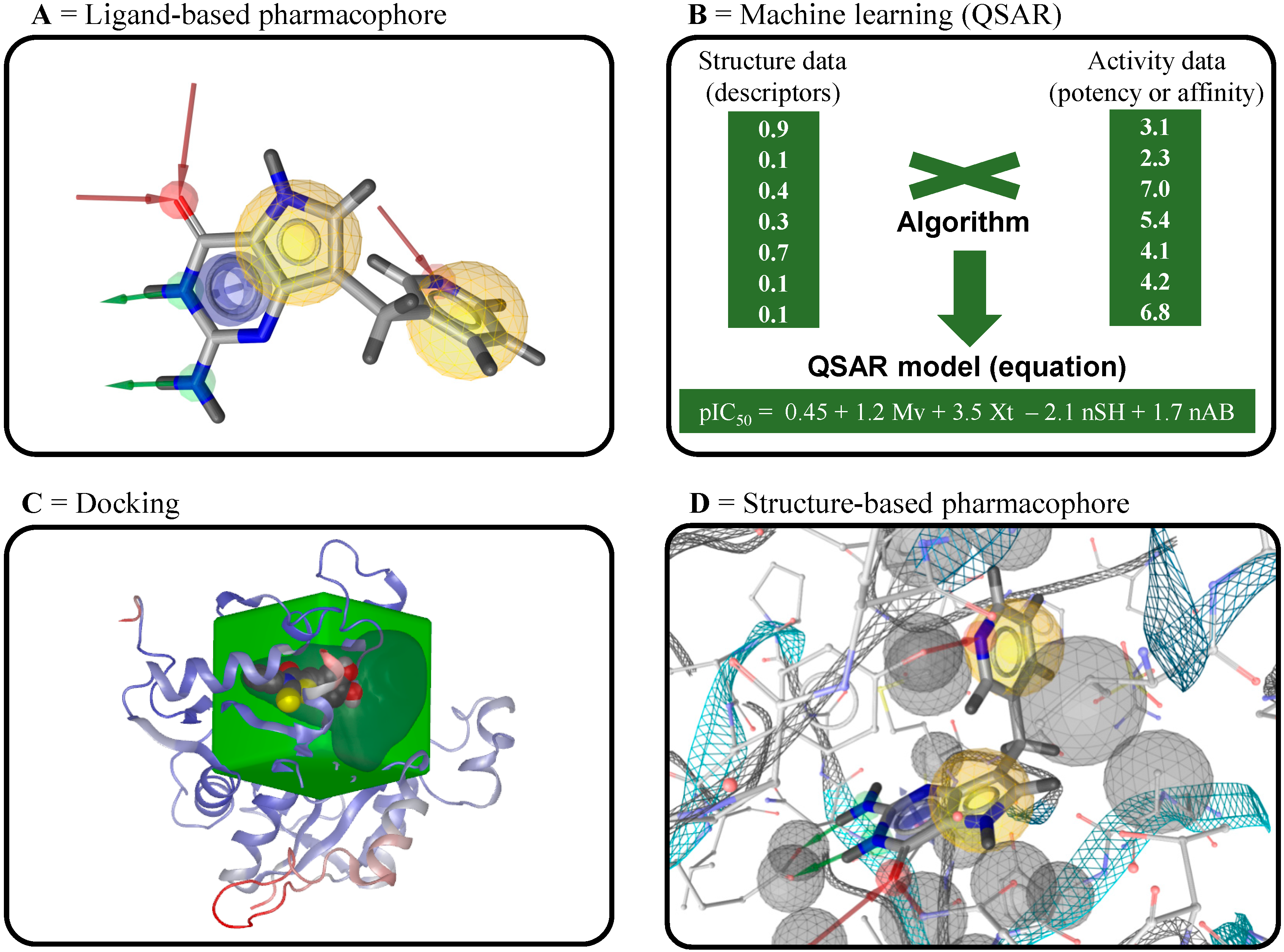 Molecules 20 01872 g010