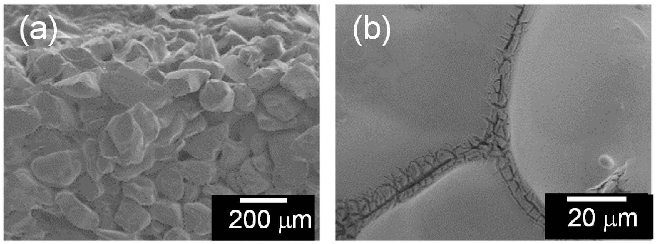Molecules 20 02349 g002 550