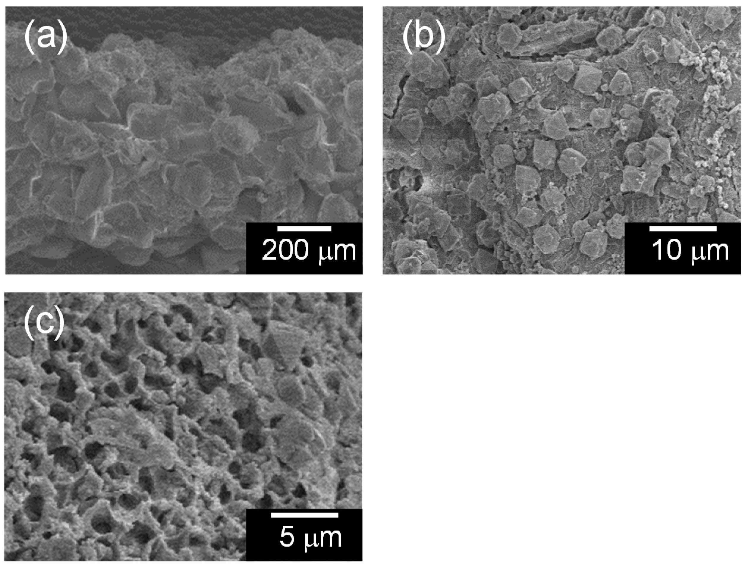 Molecules 20 02349 g003 550