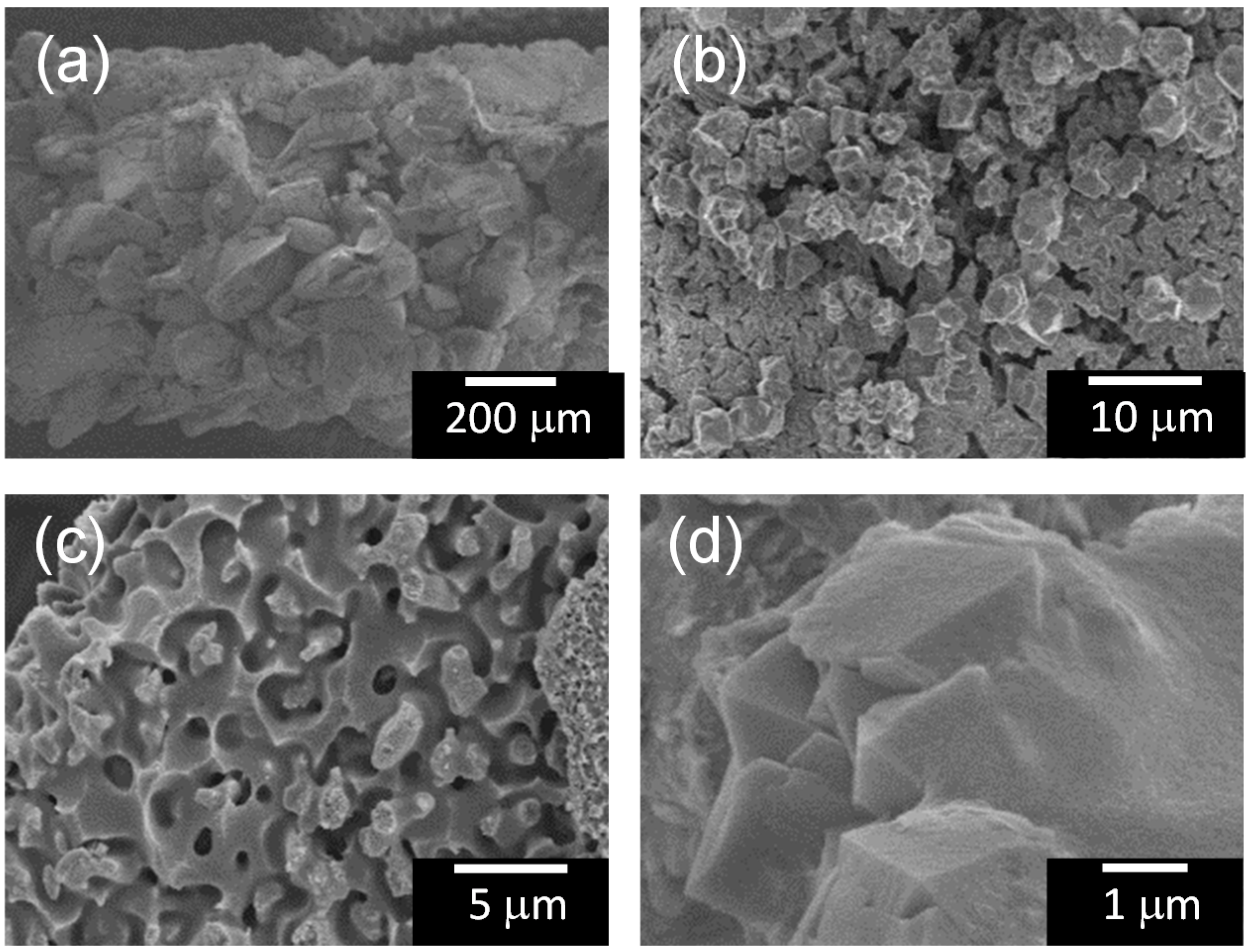 Molecules 20 02349 g004 550