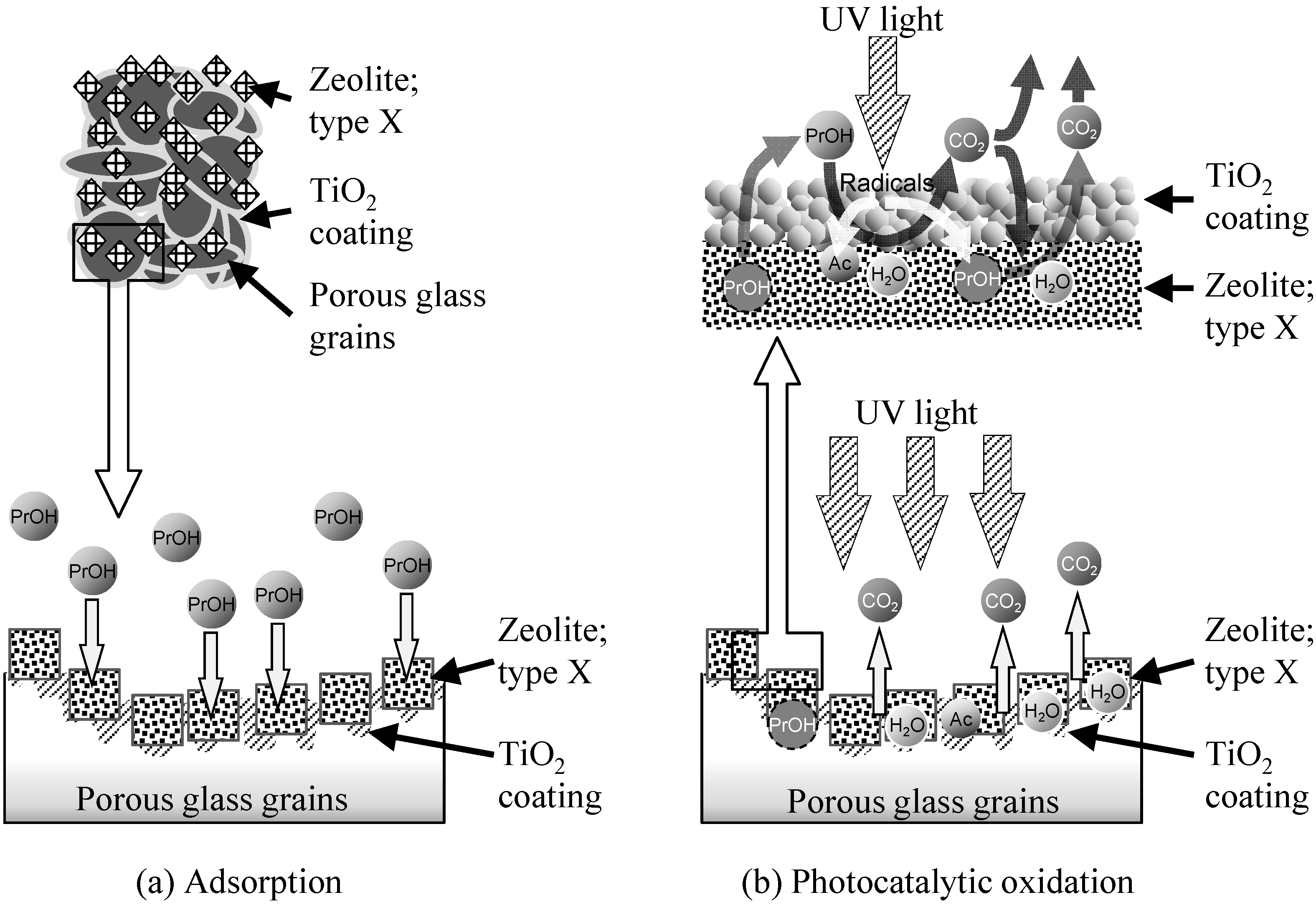 Molecules 20 02349 g008 550