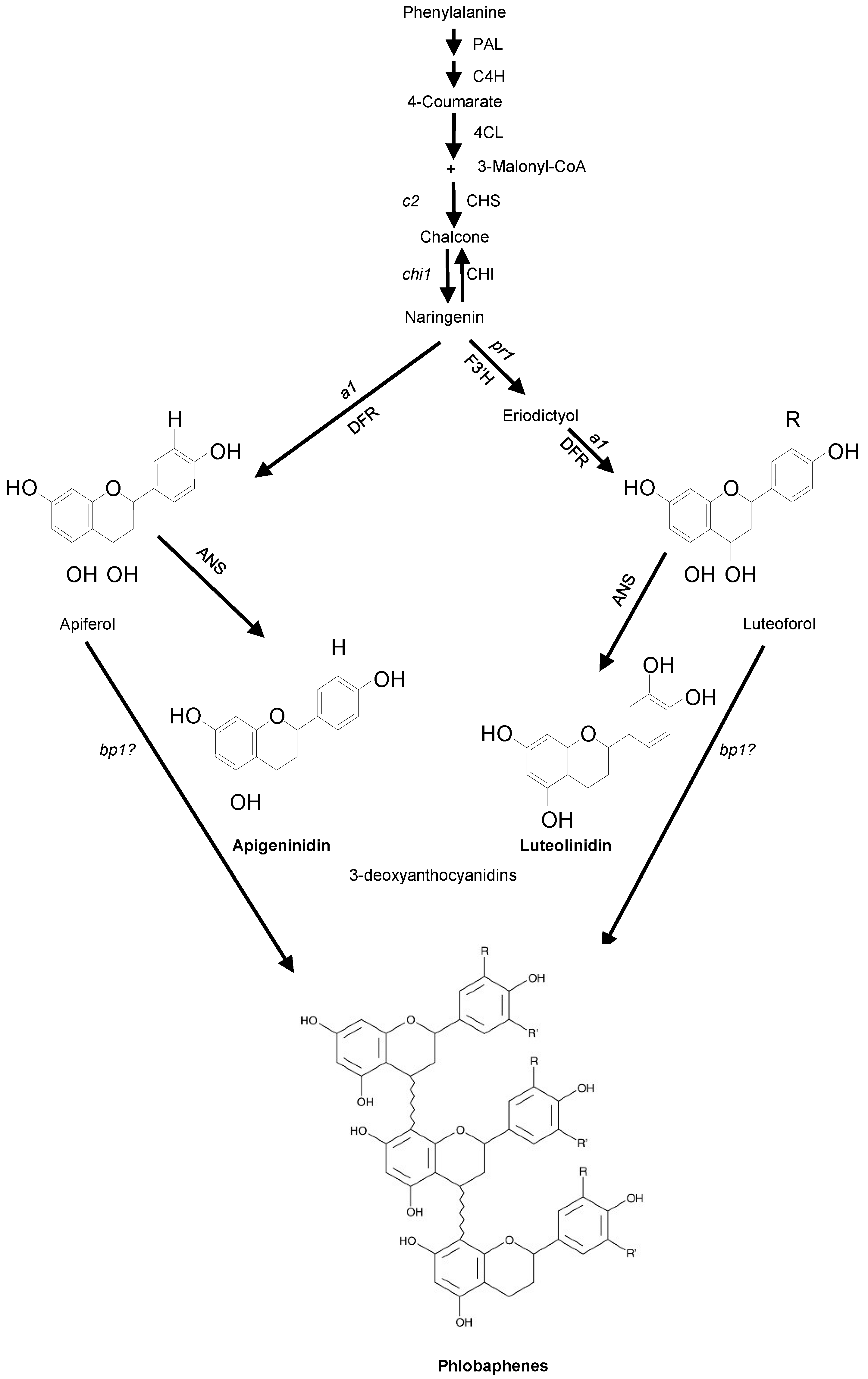 Molecules 20 02388 g001