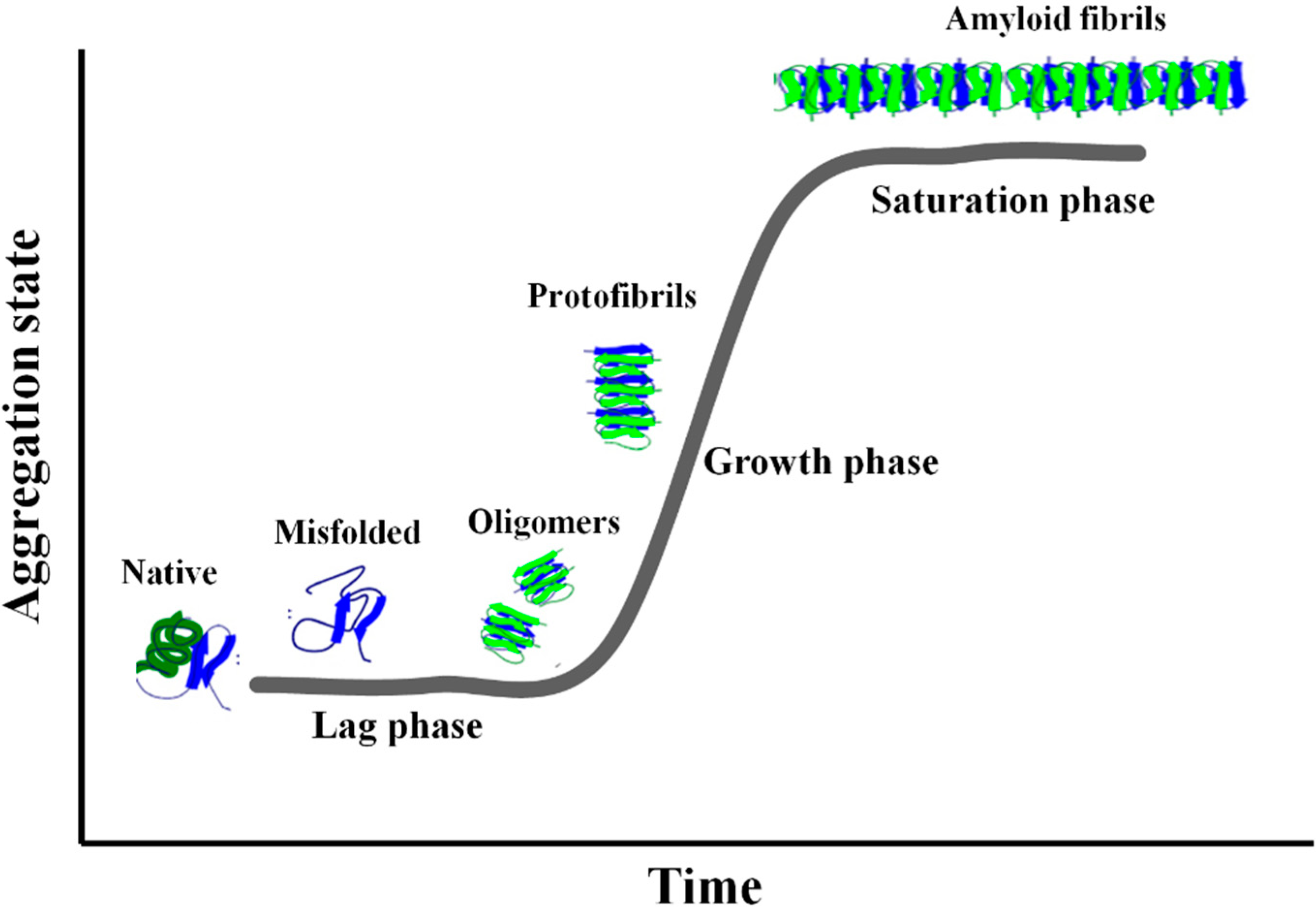 Molecules Free Full Text The Effect Of Glycosaminoglycans Gags On Amyloid Aggregation And Toxicity Html Molecules Free Full Text The Effect Of Glycosaminoglycans Gags On Amyloid Aggregation And Toxicity Html