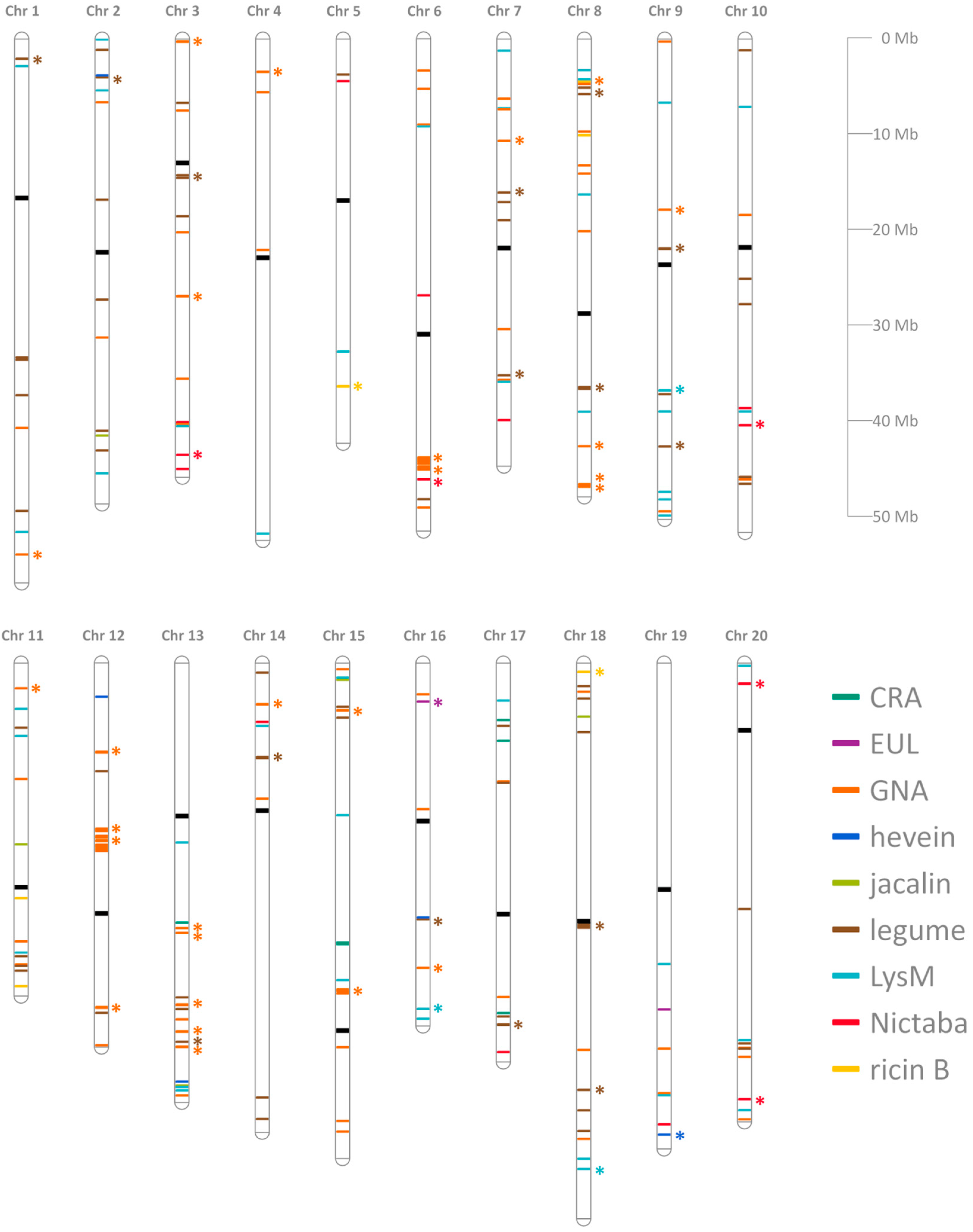 Molecules Free FullText Distribution and Evolution of the Lectin