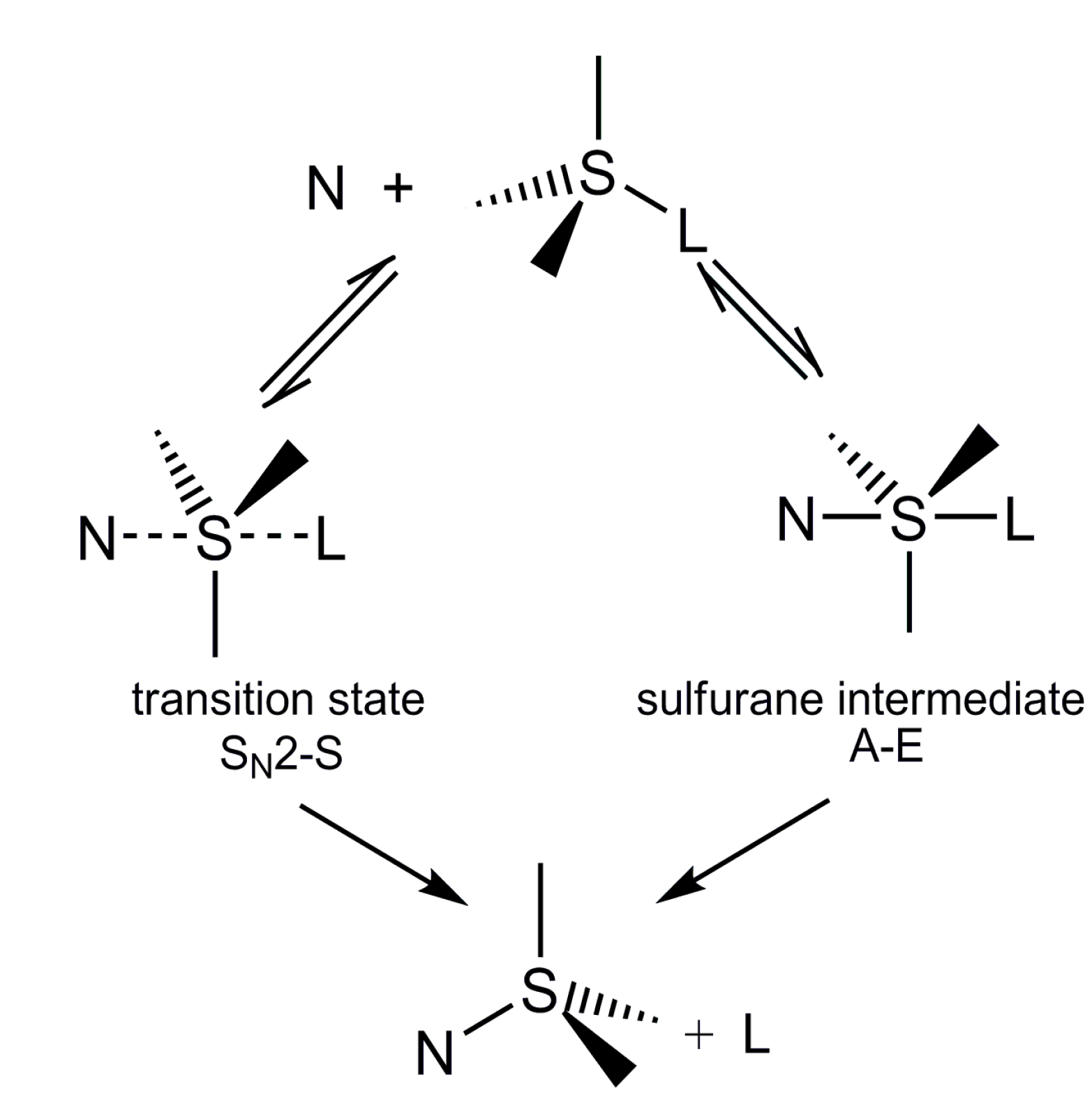 Molecules 20 02949 g003