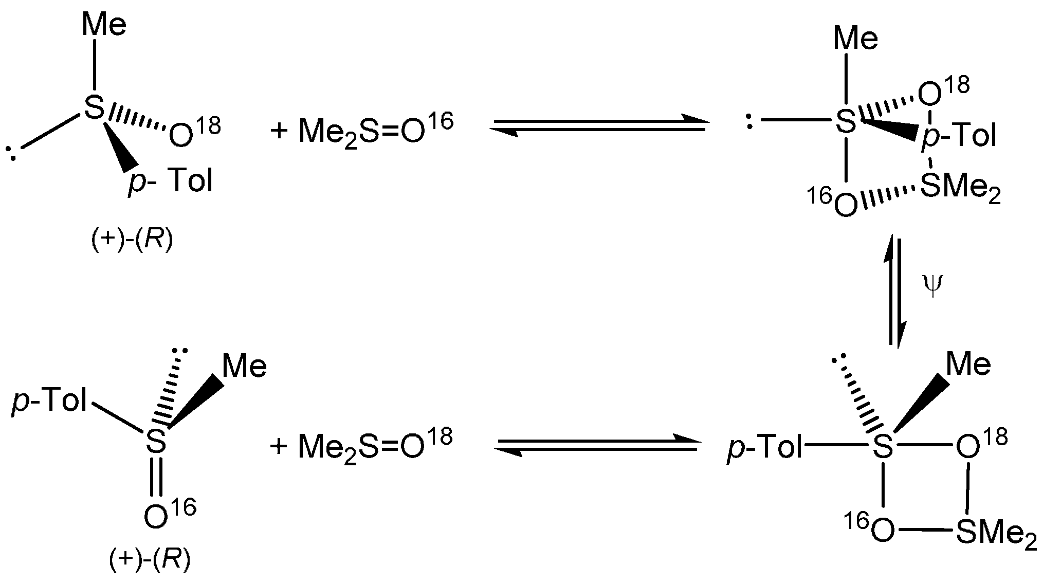 Molecules 20 02949 g007