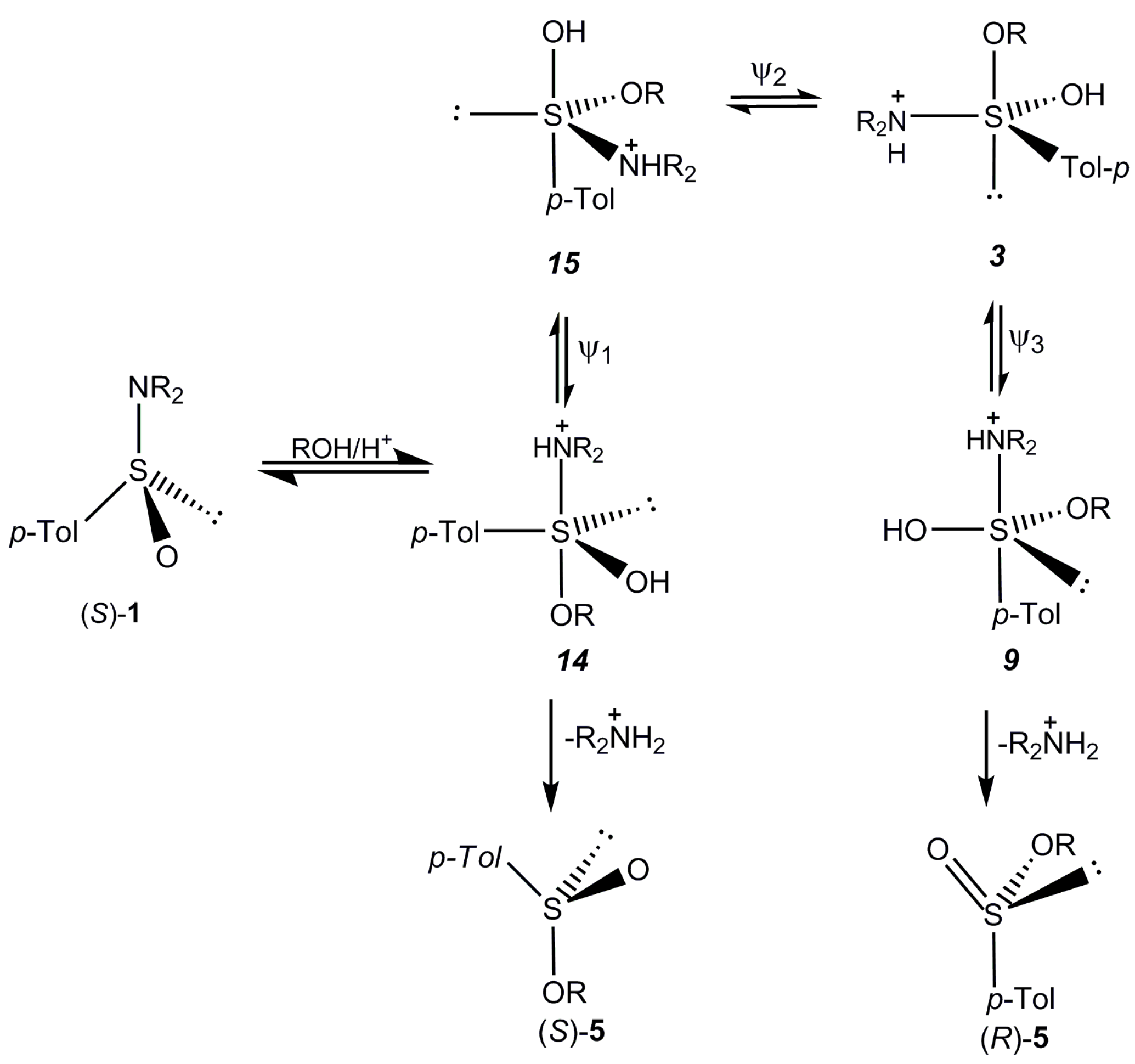 Molecules 20 02949 g013