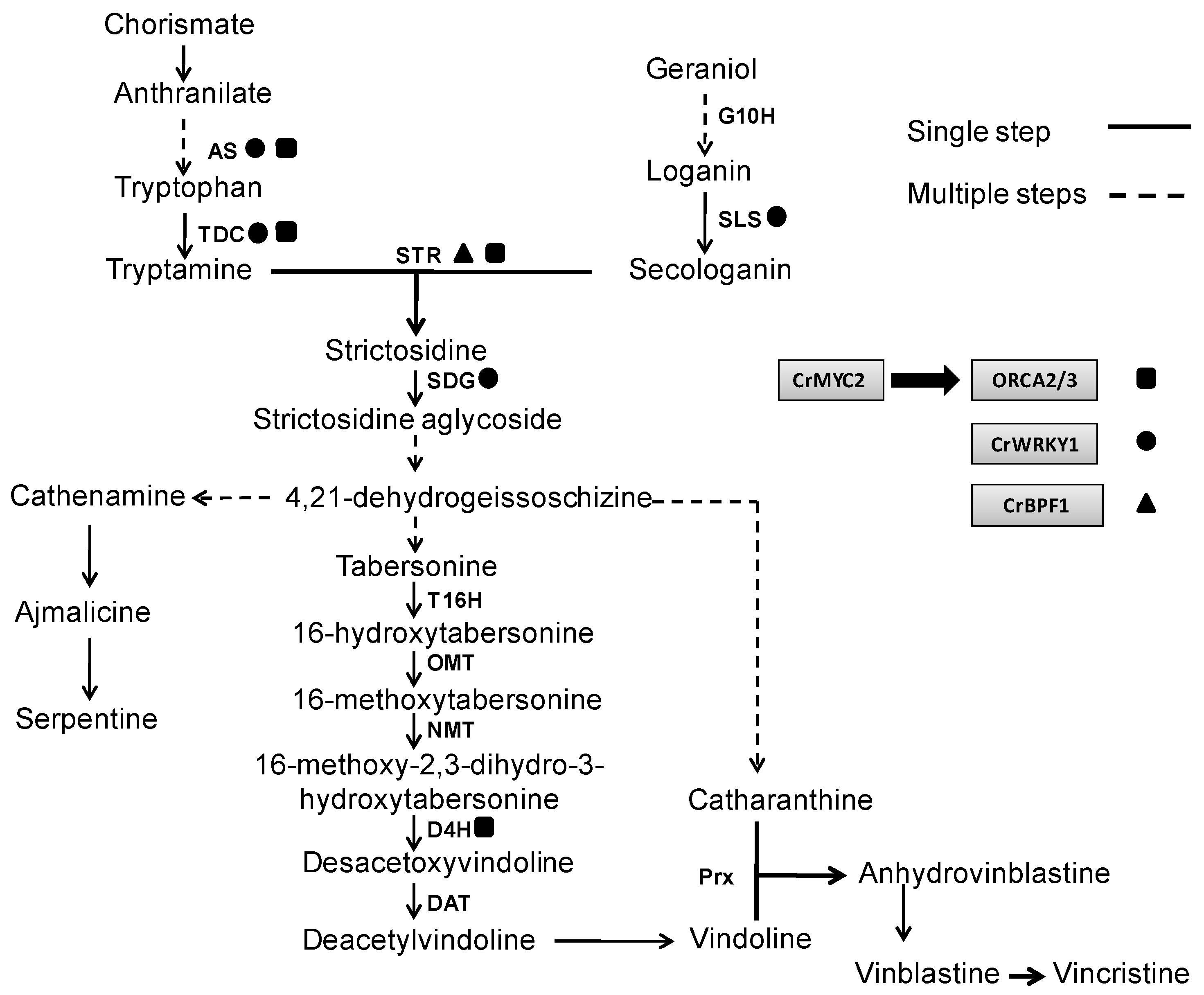Molecules 20 02973 g002