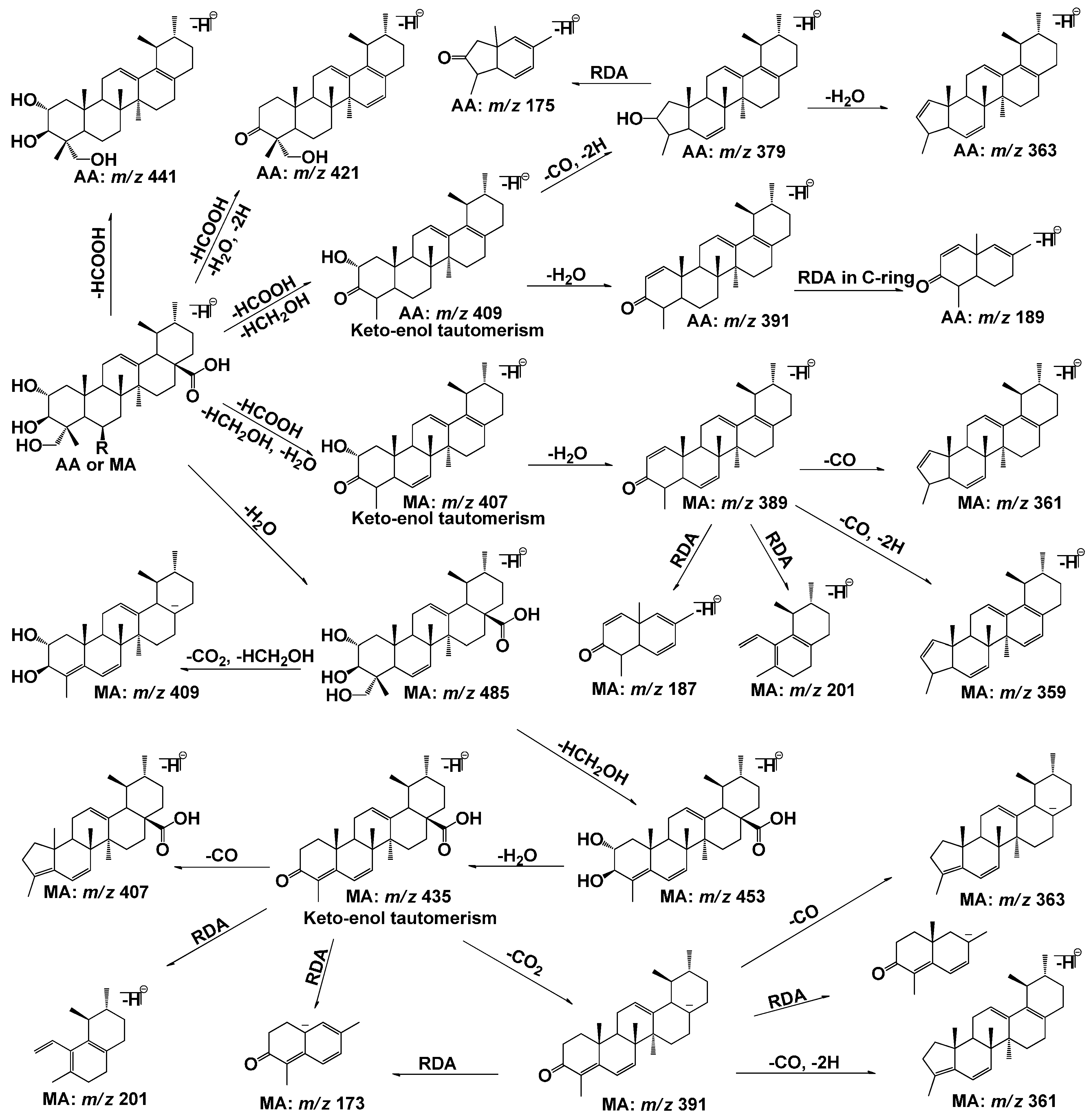 molecules free full text structural analysis of metabolites of asiatic acid and its analogue madecassic acid in zebrafish using lc it msn html