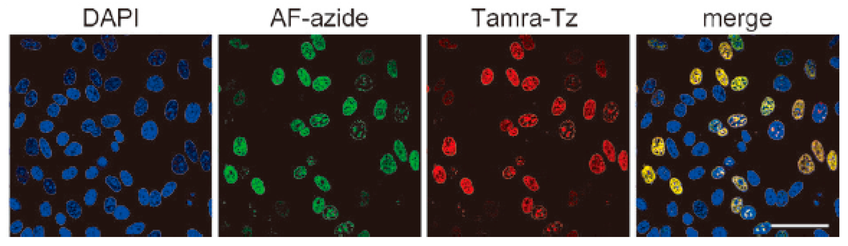 Molecules 20 03190 g001
