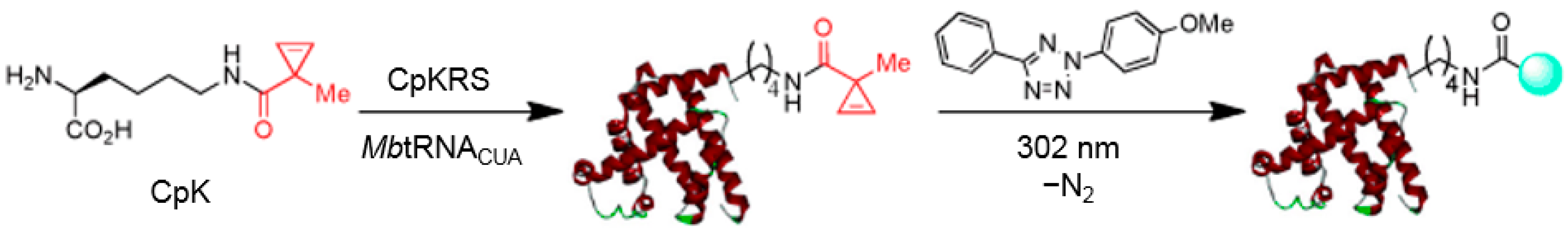 Molecules 20 03190 g007