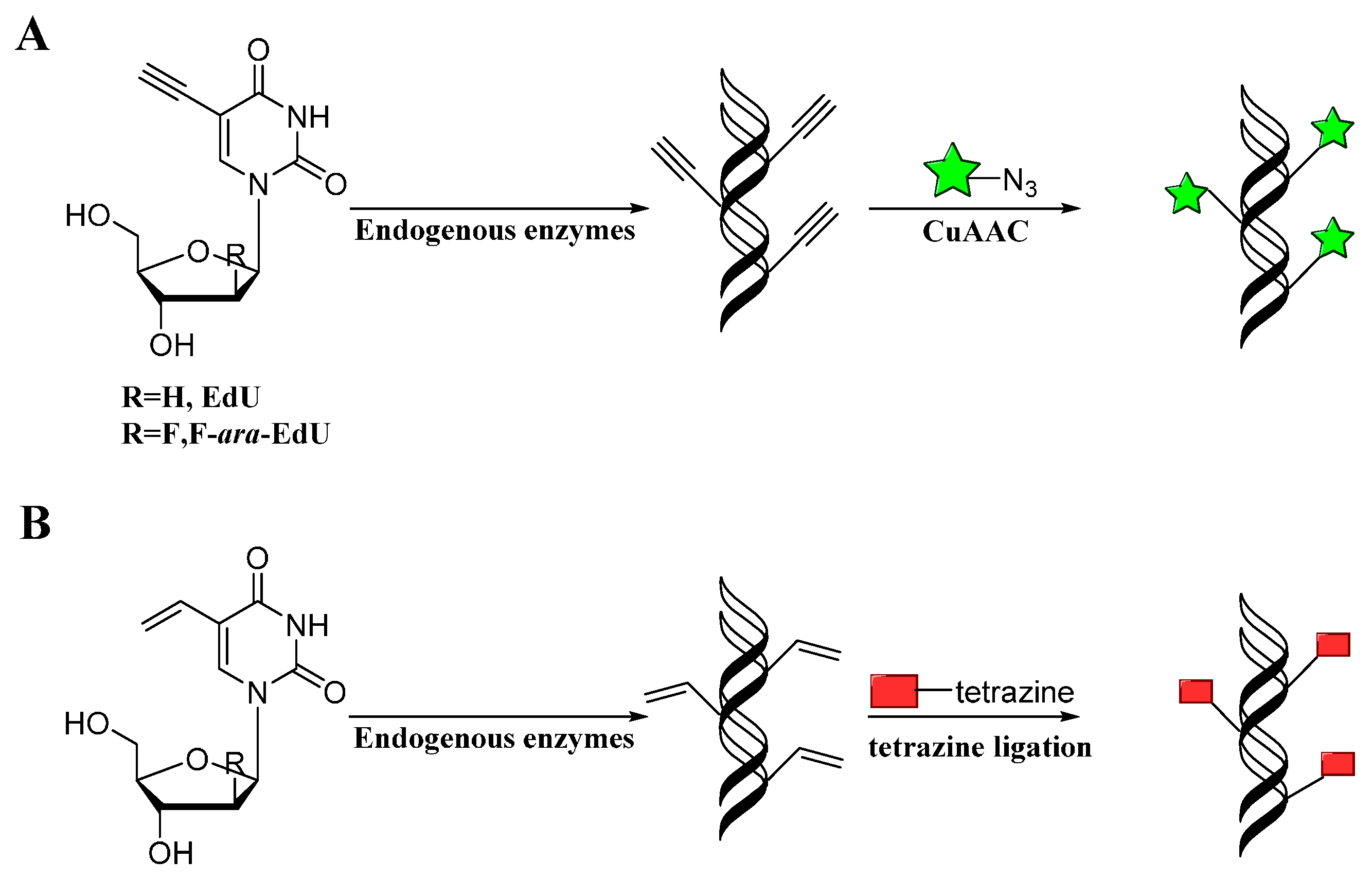 Molecules 20 03190 g009
