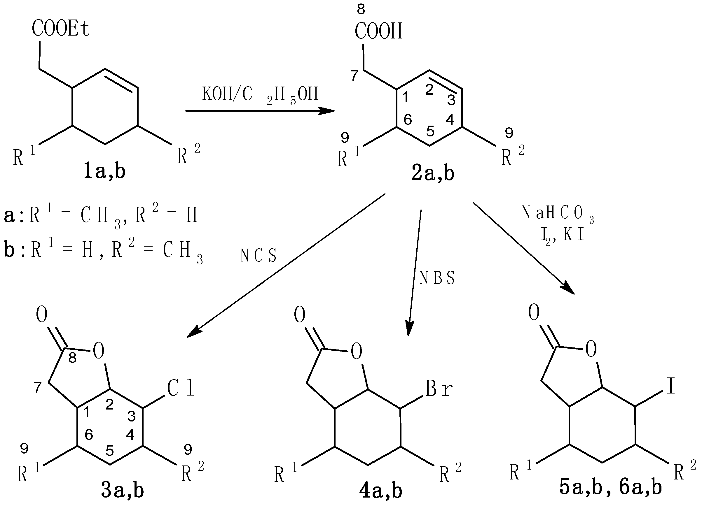2.1. Synthesis of Substrates 