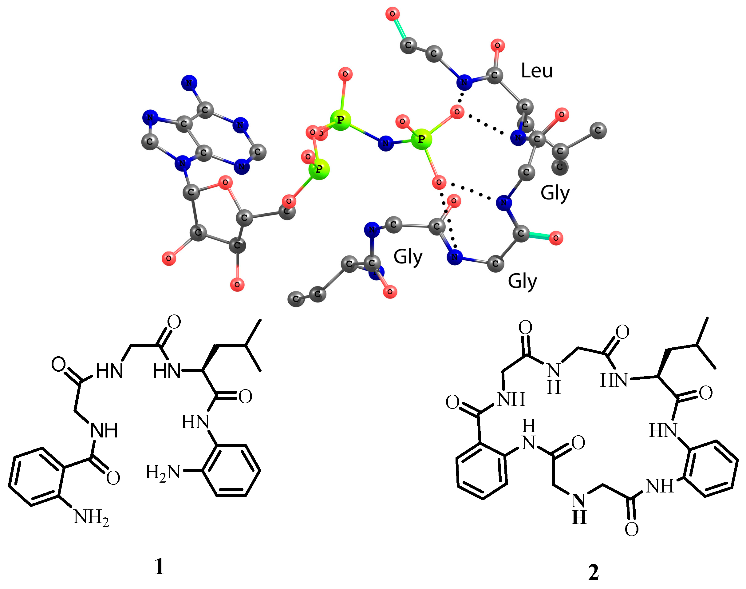 Molecules 20 03354 g001 550