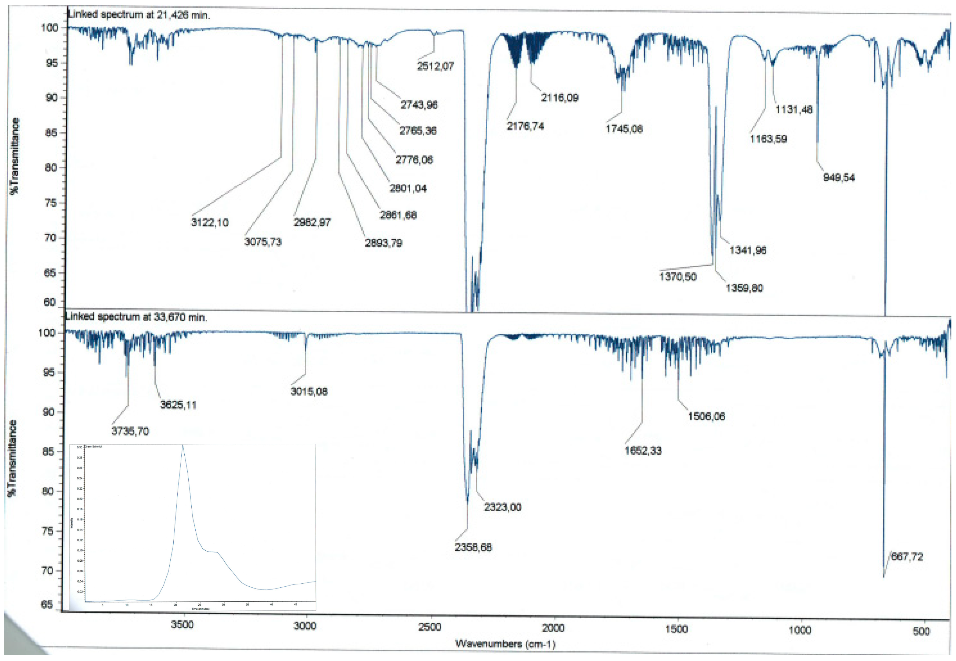 Divinyl Sulfone Cross-Linked Cyclodextrin-Based Polymeric