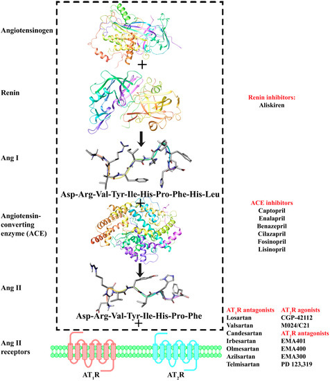 Molecules Free Full Text Rational Drug Design And Synthesis Of