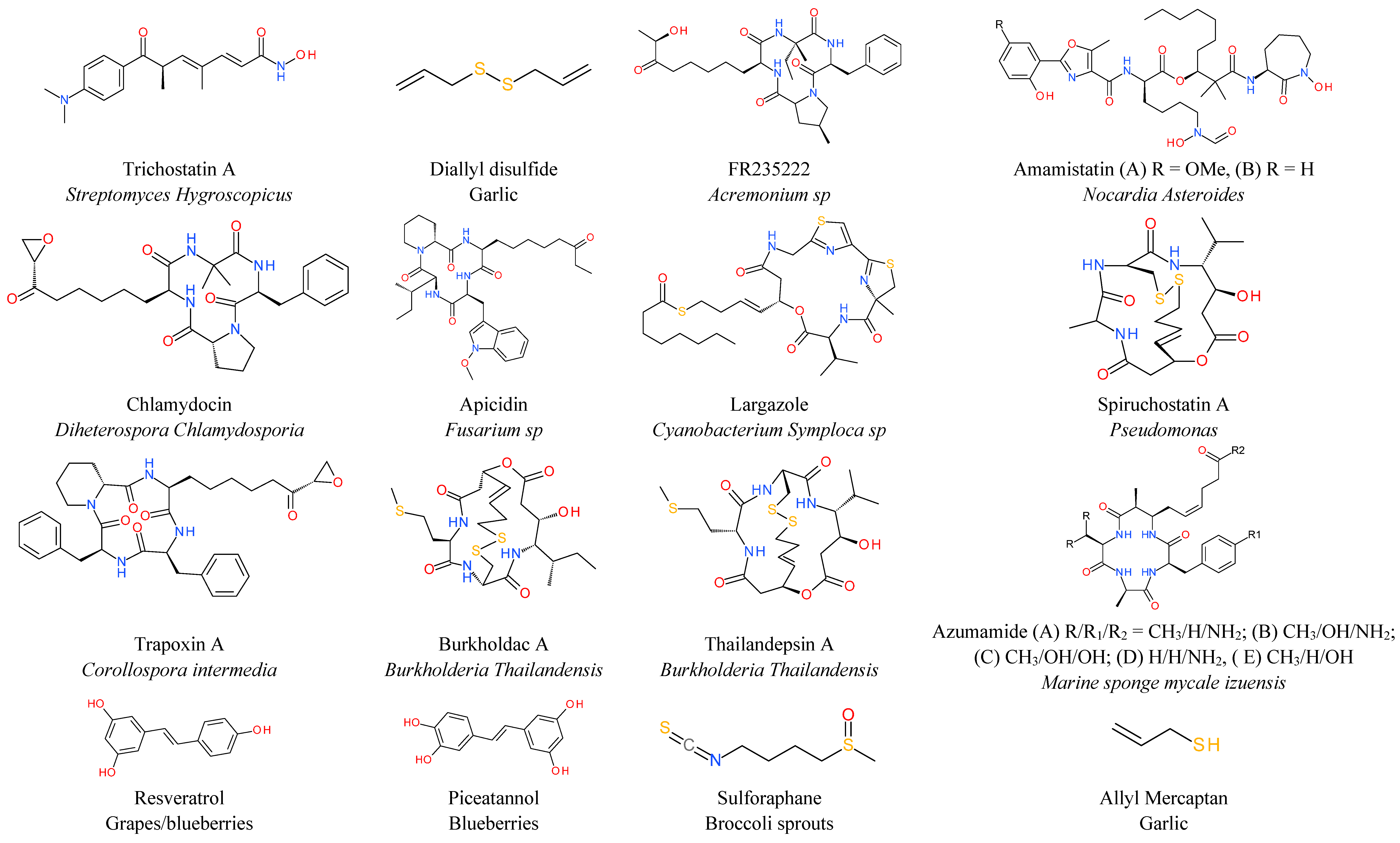 Molecules 20 03898 g001