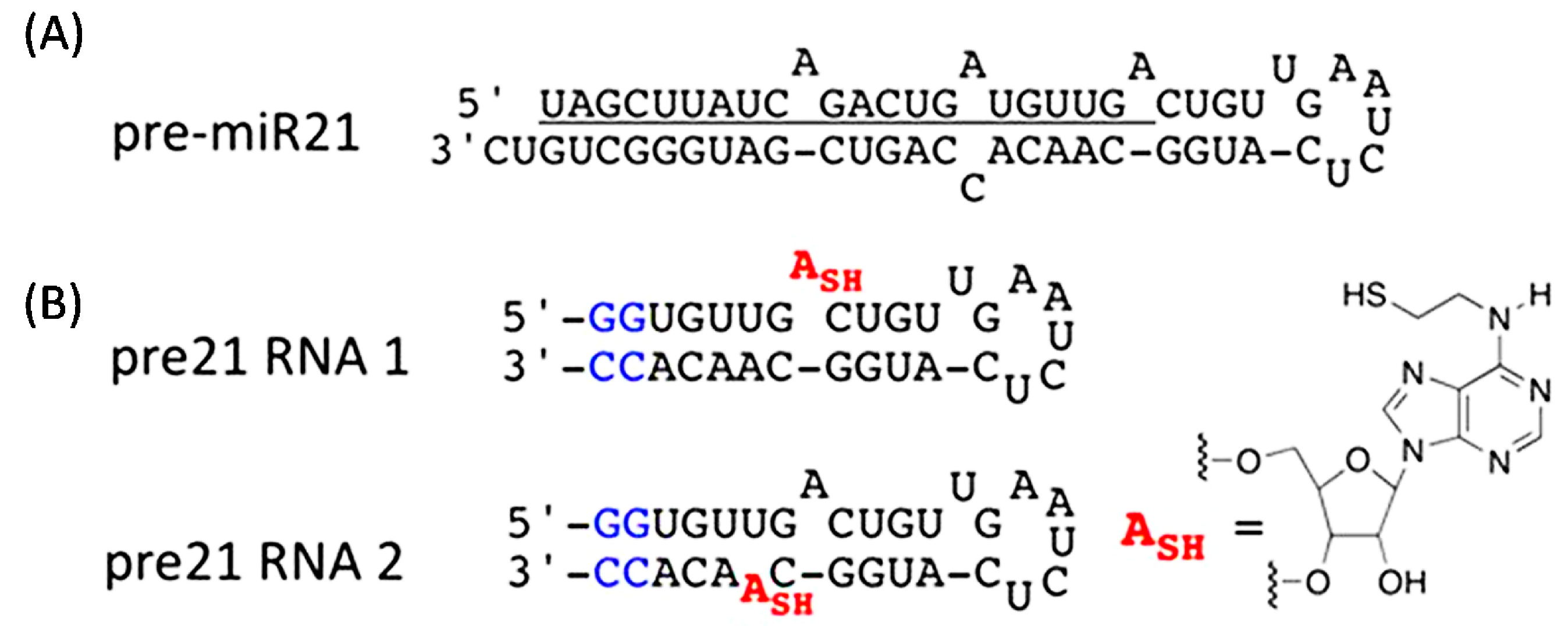Molecules 20 04148 g001