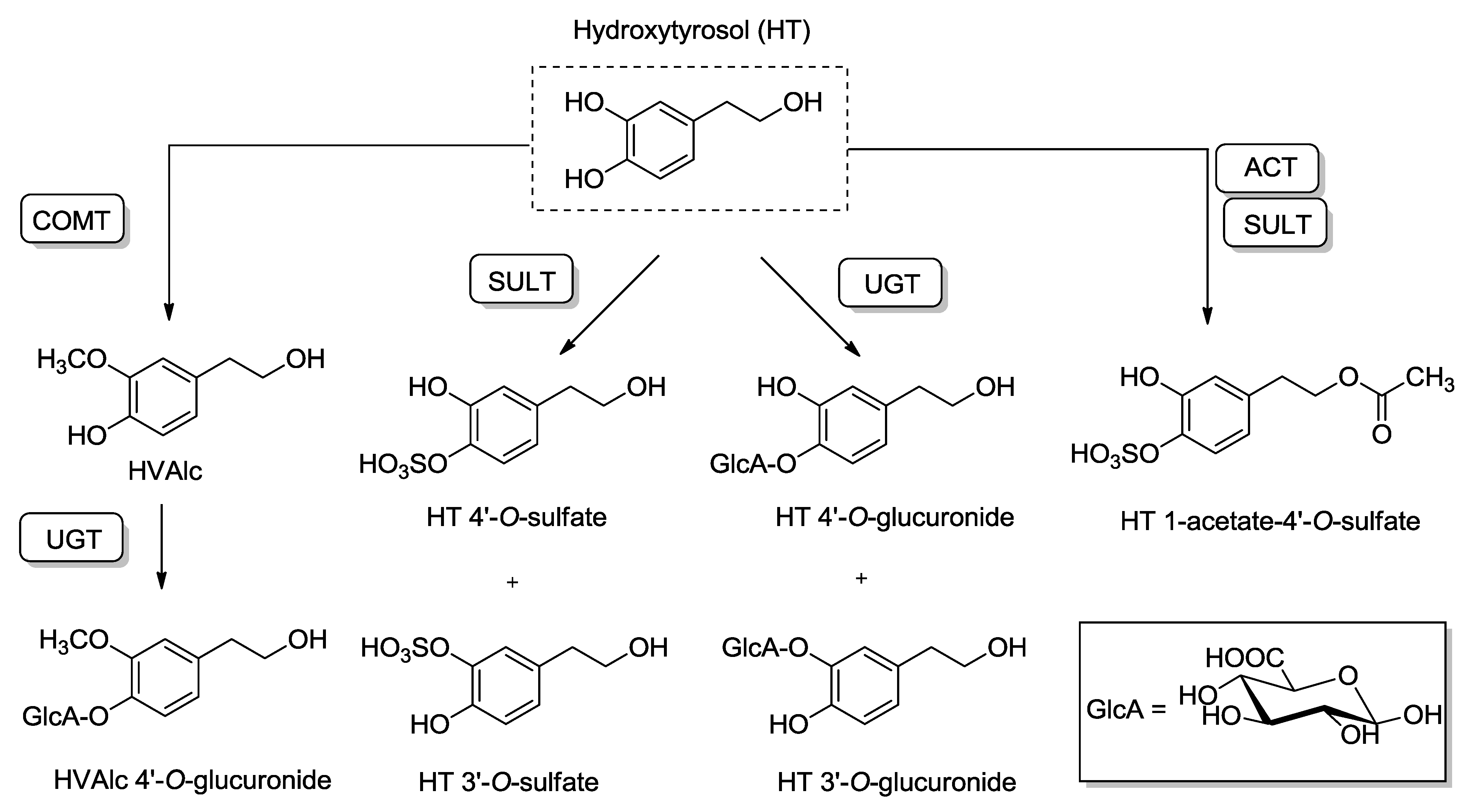 Molecules 20 04655 g003