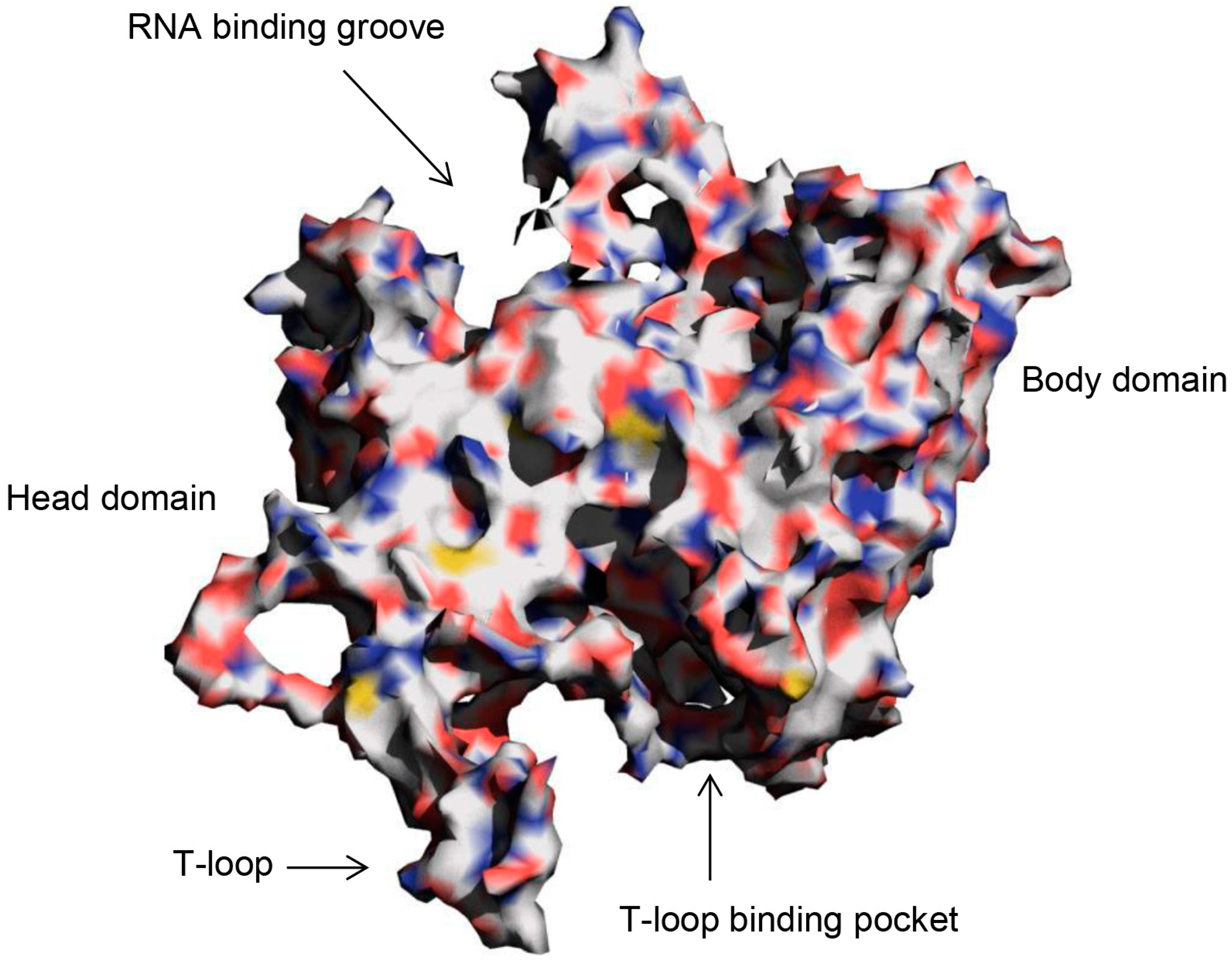 Molecules 20 05152 g001