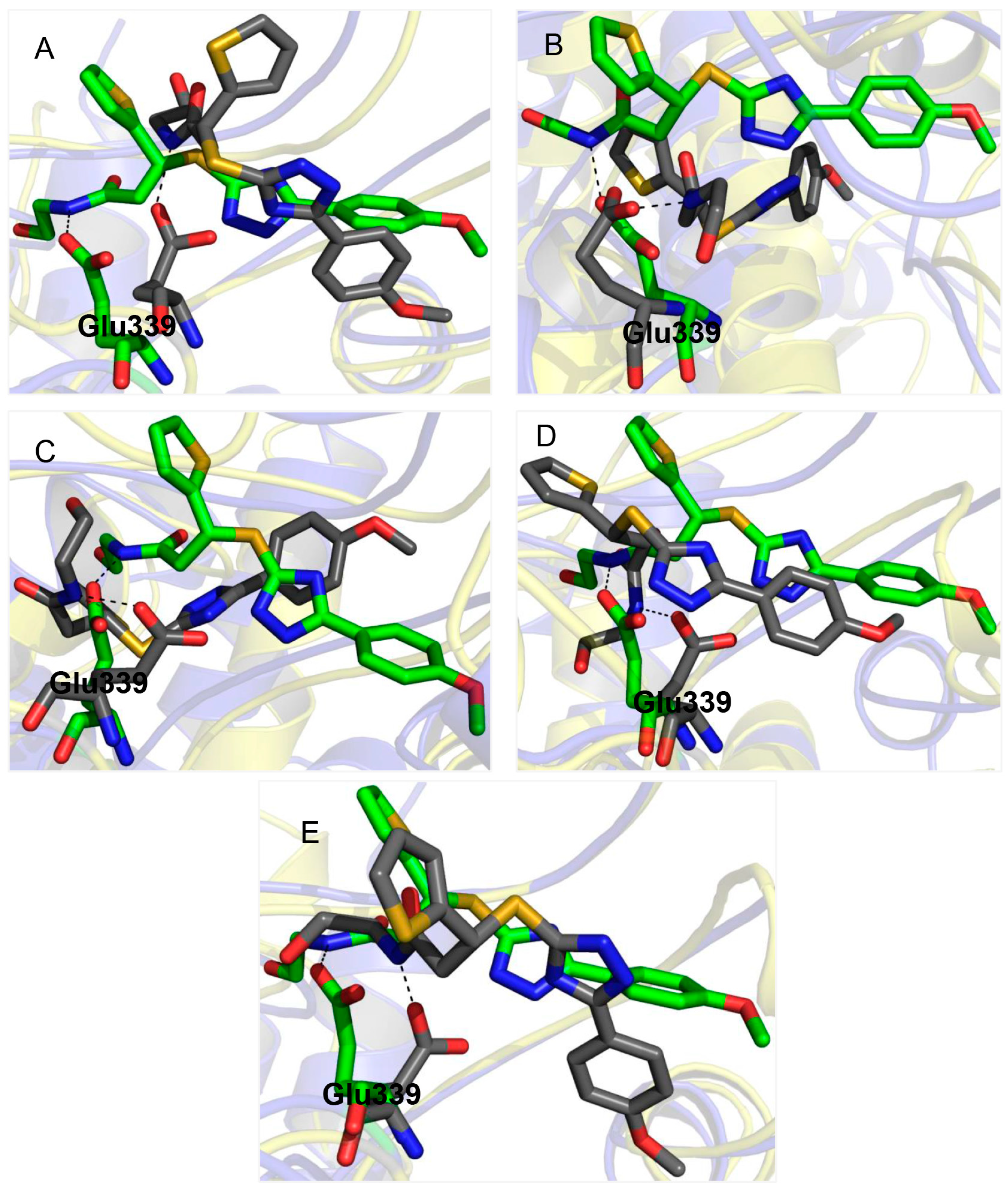 Molecules 20 05152 g006