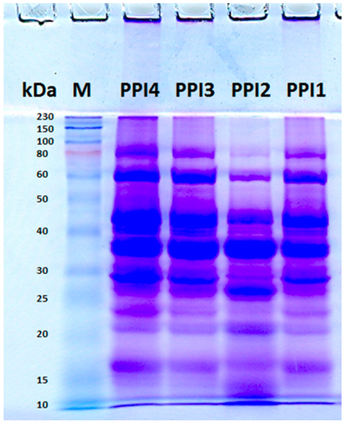 Molecules 20 05165 g002 550