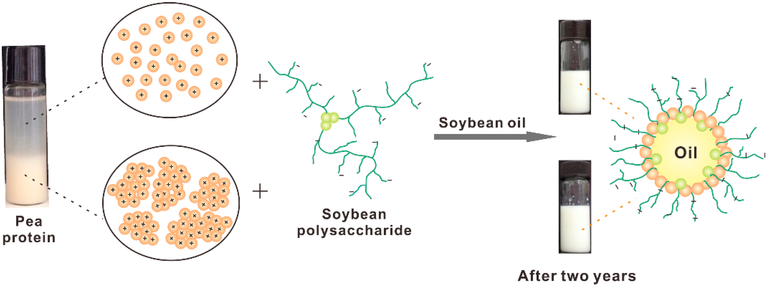 Molecules 20 05165 g013 550