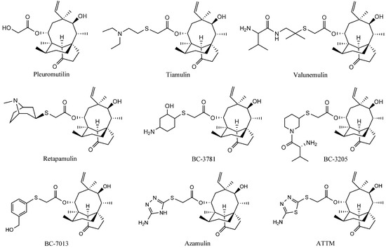 Molecules Free Full Text In Vivo Efficacy And Toxicity
