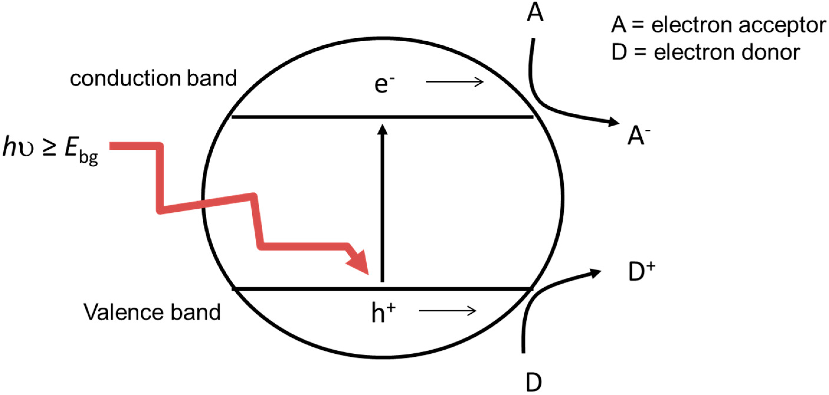 Molecules 20 05574 g001